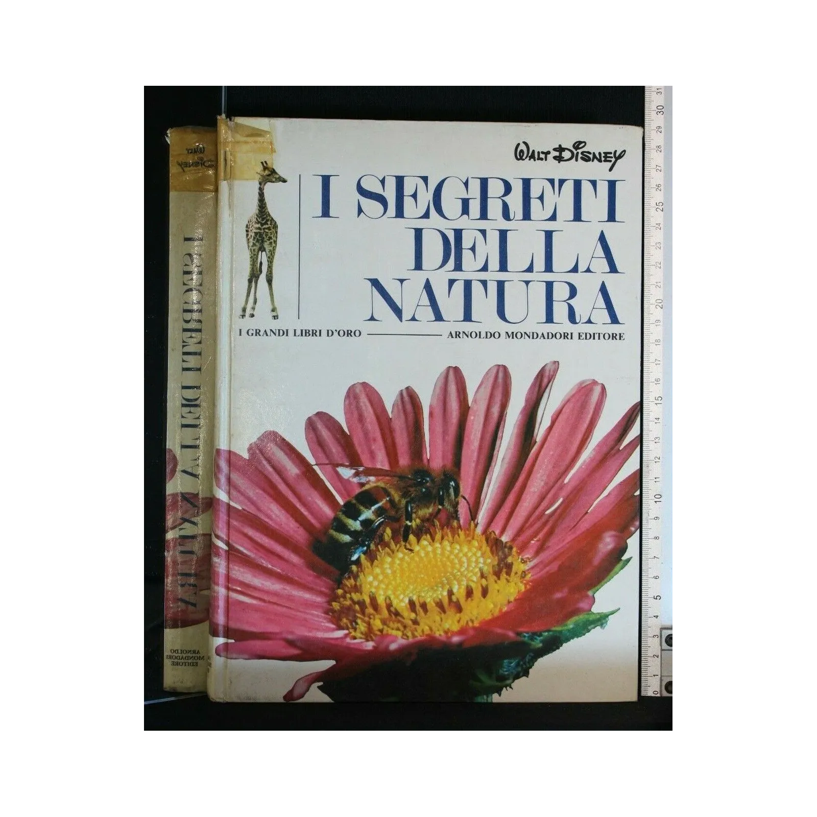 I SEGRETI DELLA NATURA
