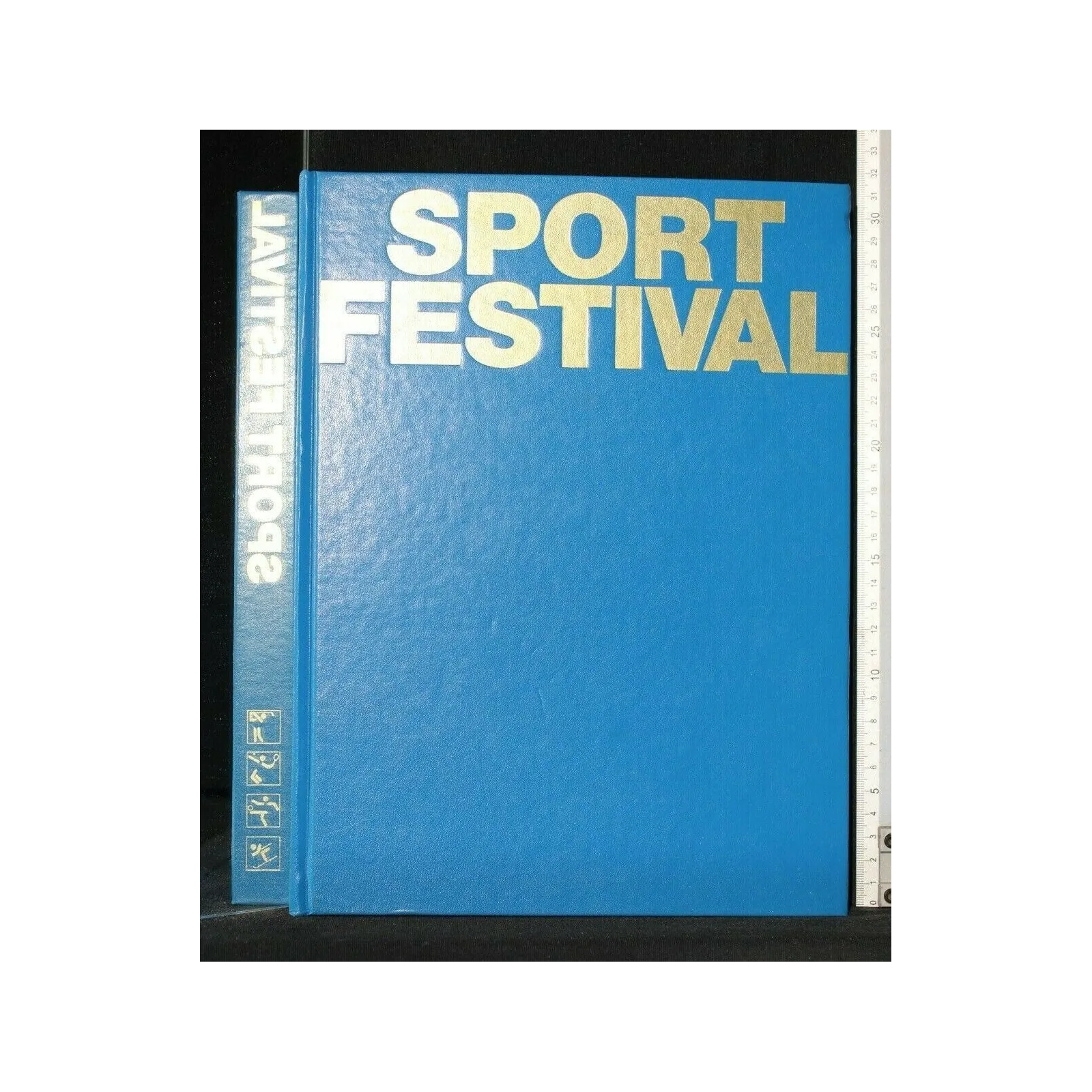SPORT FESTIVAL