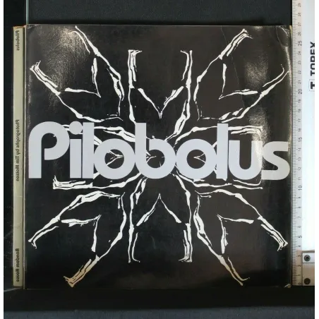 PILOBOLUS