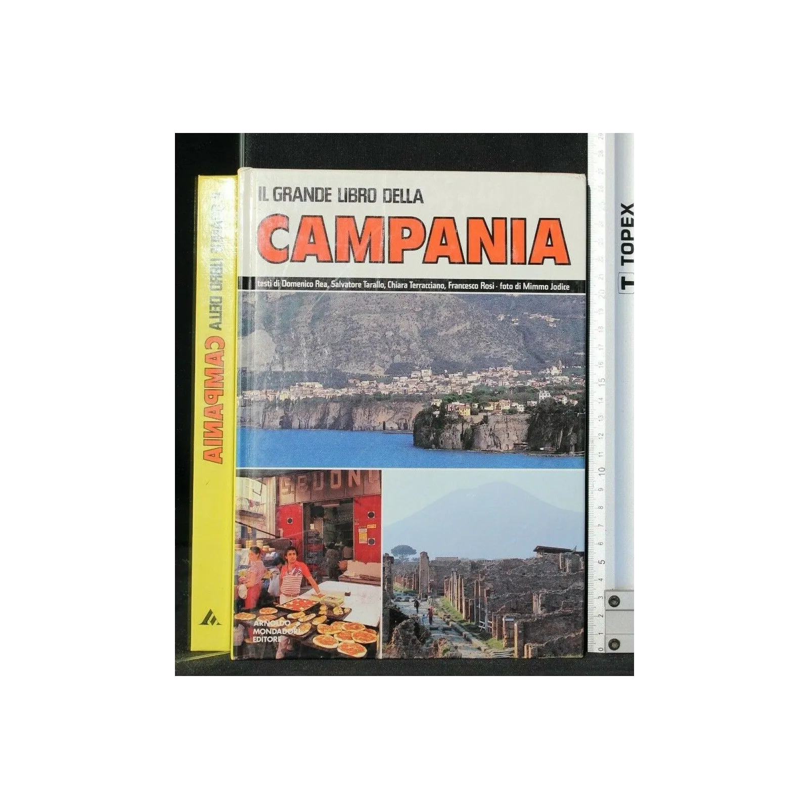 IL GRANDE LIBRO DELLA CAMPANIA