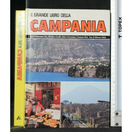 IL GRANDE LIBRO DELLA CAMPANIA