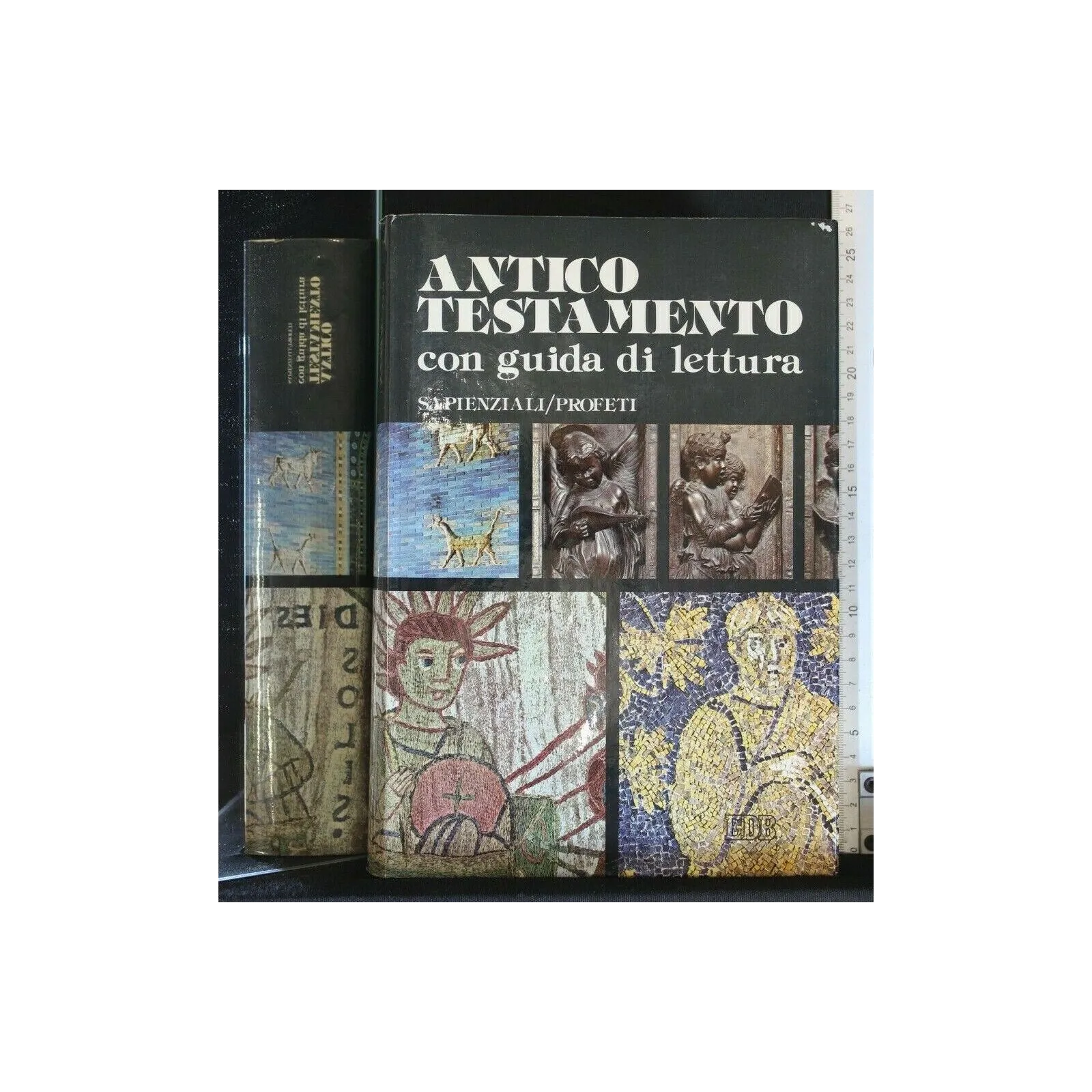 L'ANTICO TESTAMENTO CON GUIDA DI LETTURA SAPIENZIALI/PROFETI