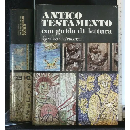 L'ANTICO TESTAMENTO CON GUIDA DI LETTURA SAPIENZIALI/PROFETI