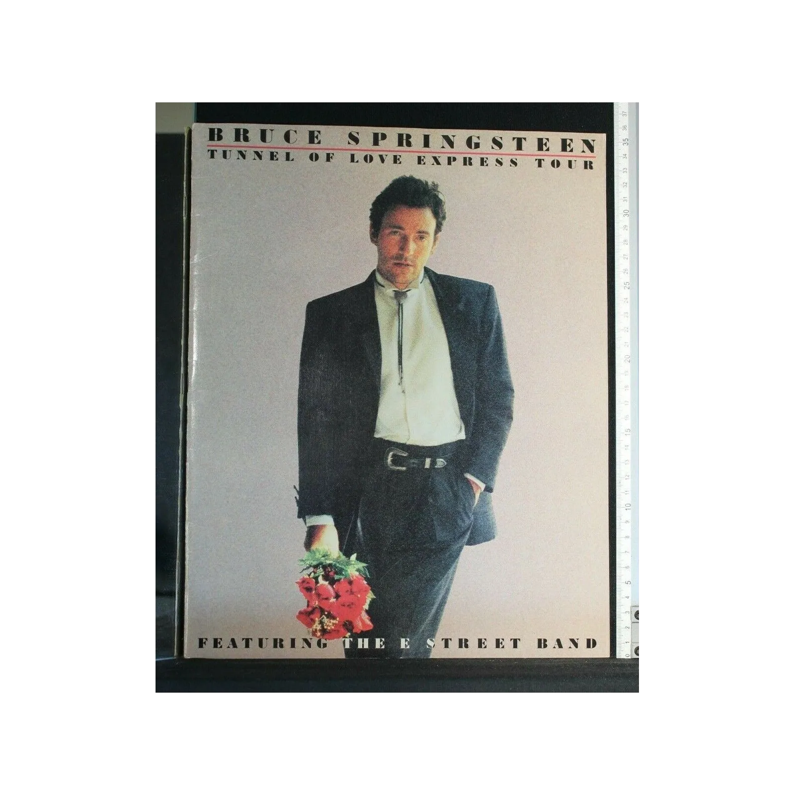 BRUCE SPRINGSTEEN TUNNEL OF LOVE EXPRESS TOUR