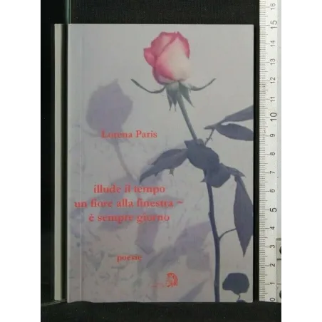 ILLUDE IL TEMPO UN FIORE ALLA FINESTRA E' SEMPRE GIORNO POESIE