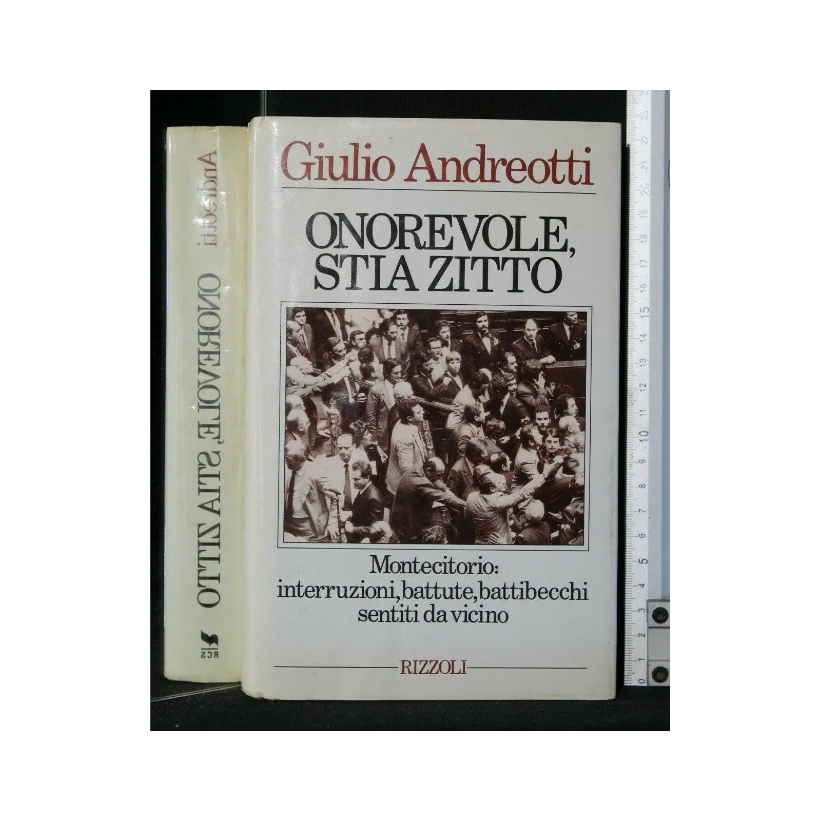 ONOREVOLE, STIA ZITTO MONTECITORIO: INTERRUZIONI, BATTUTE,