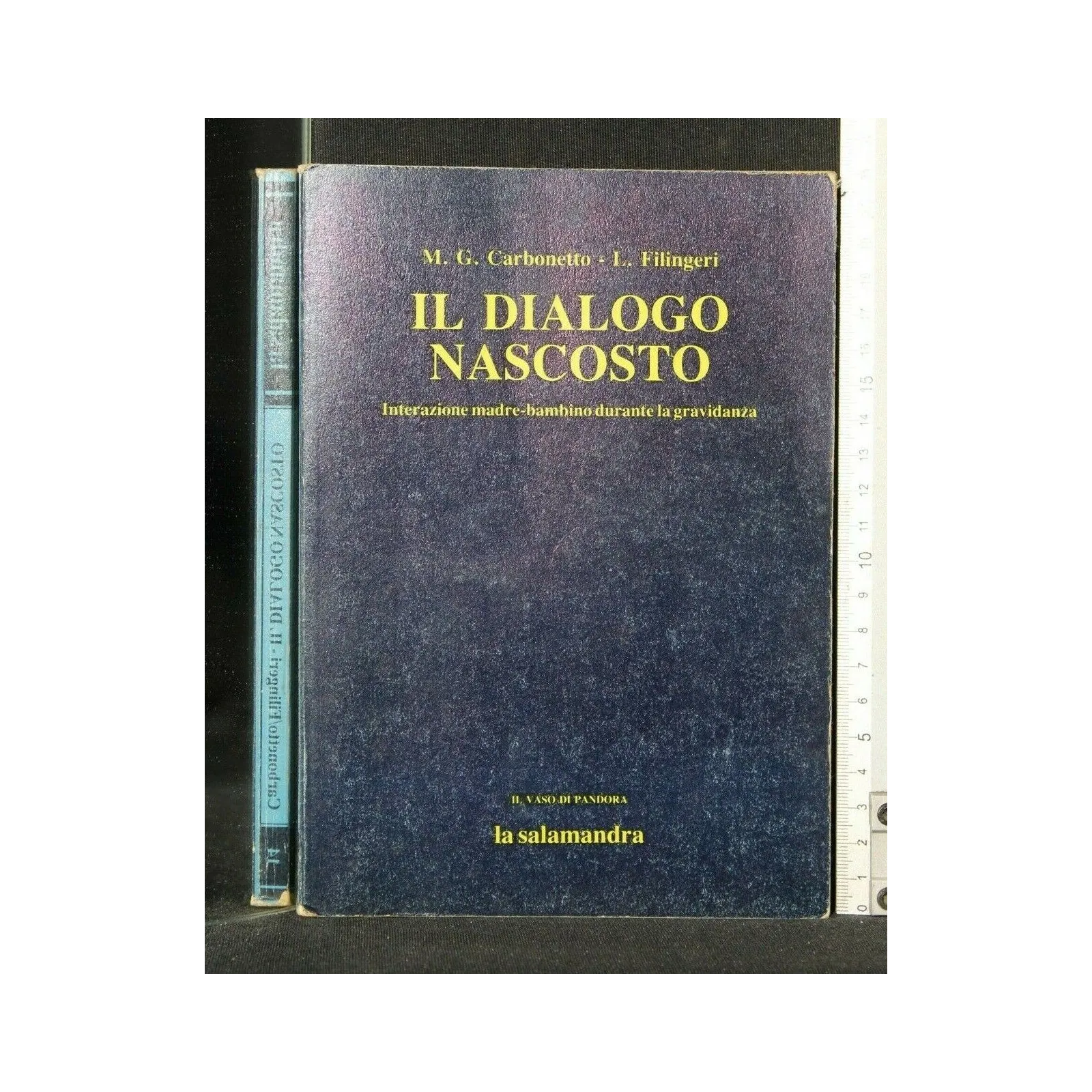 IL DIALOGO NASCOSTO INTERAZIONE MADRE-BAMBINO DURANTE LA