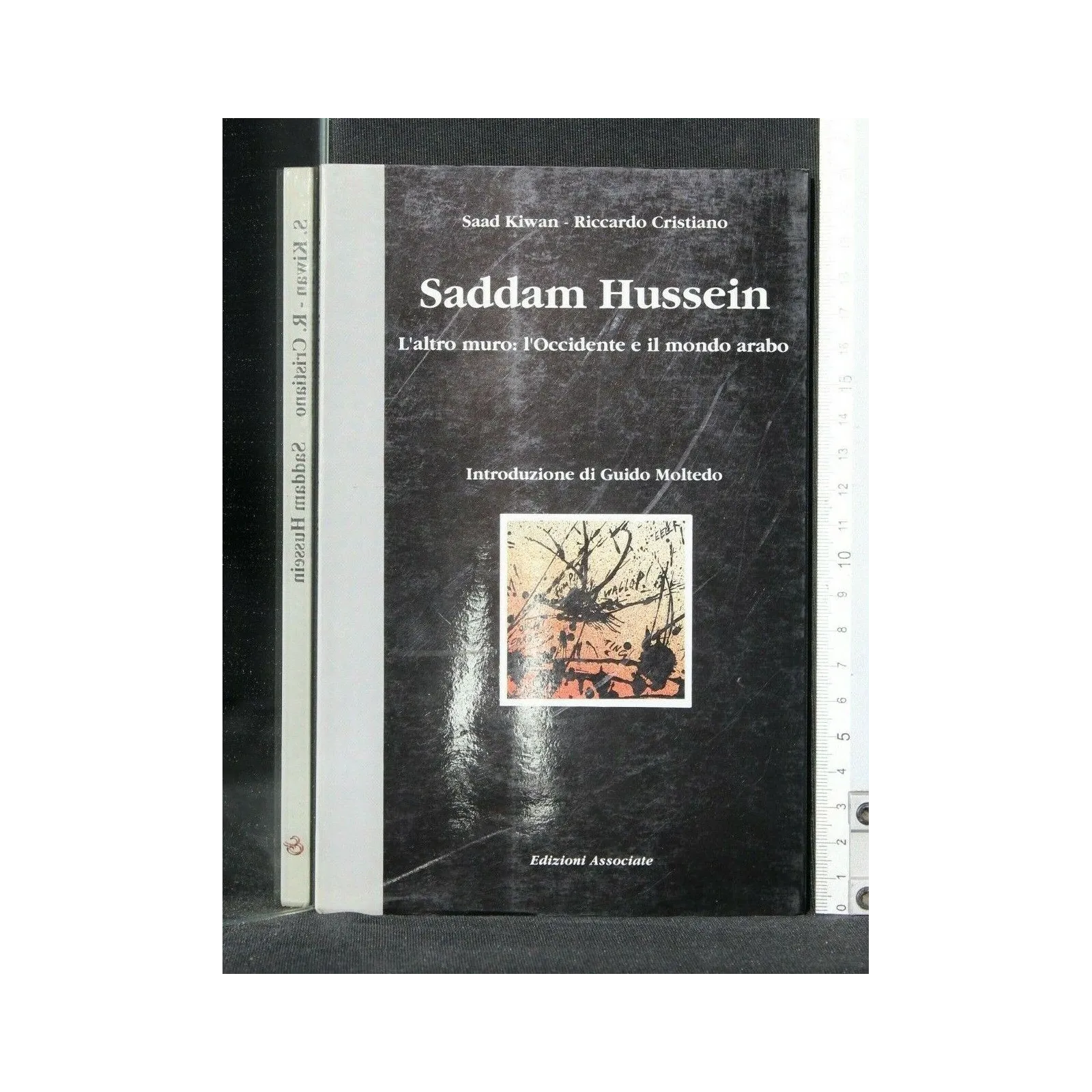 SADDAM HUSSEIN L'ALTRO MURO: L'OCCIDENTE E IL MONDO ARABO