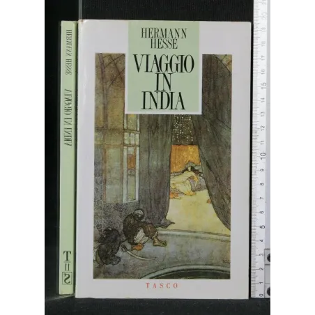 VIAGGIO IN INDIA