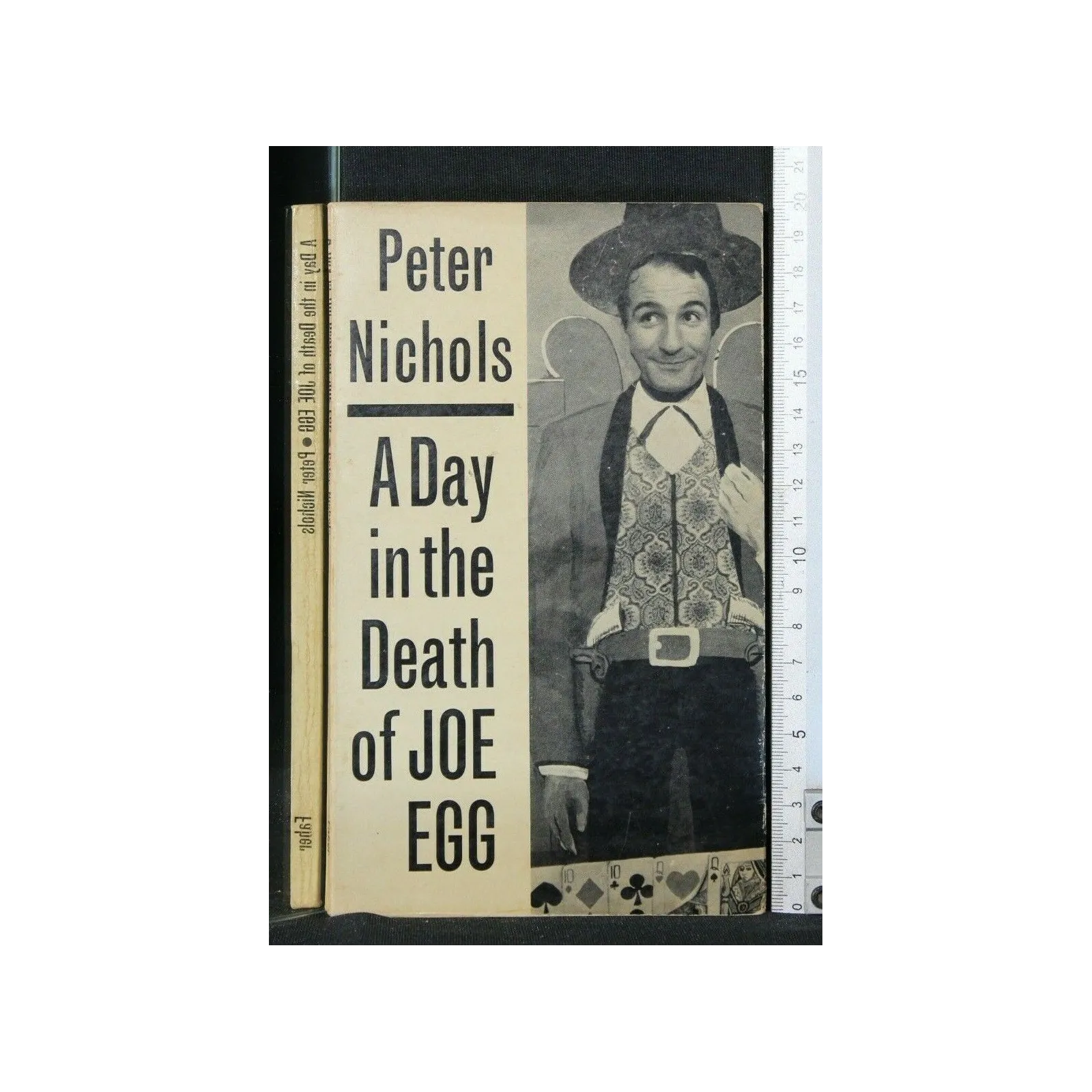 A DAY IN THE DEATH OF JOE EGG