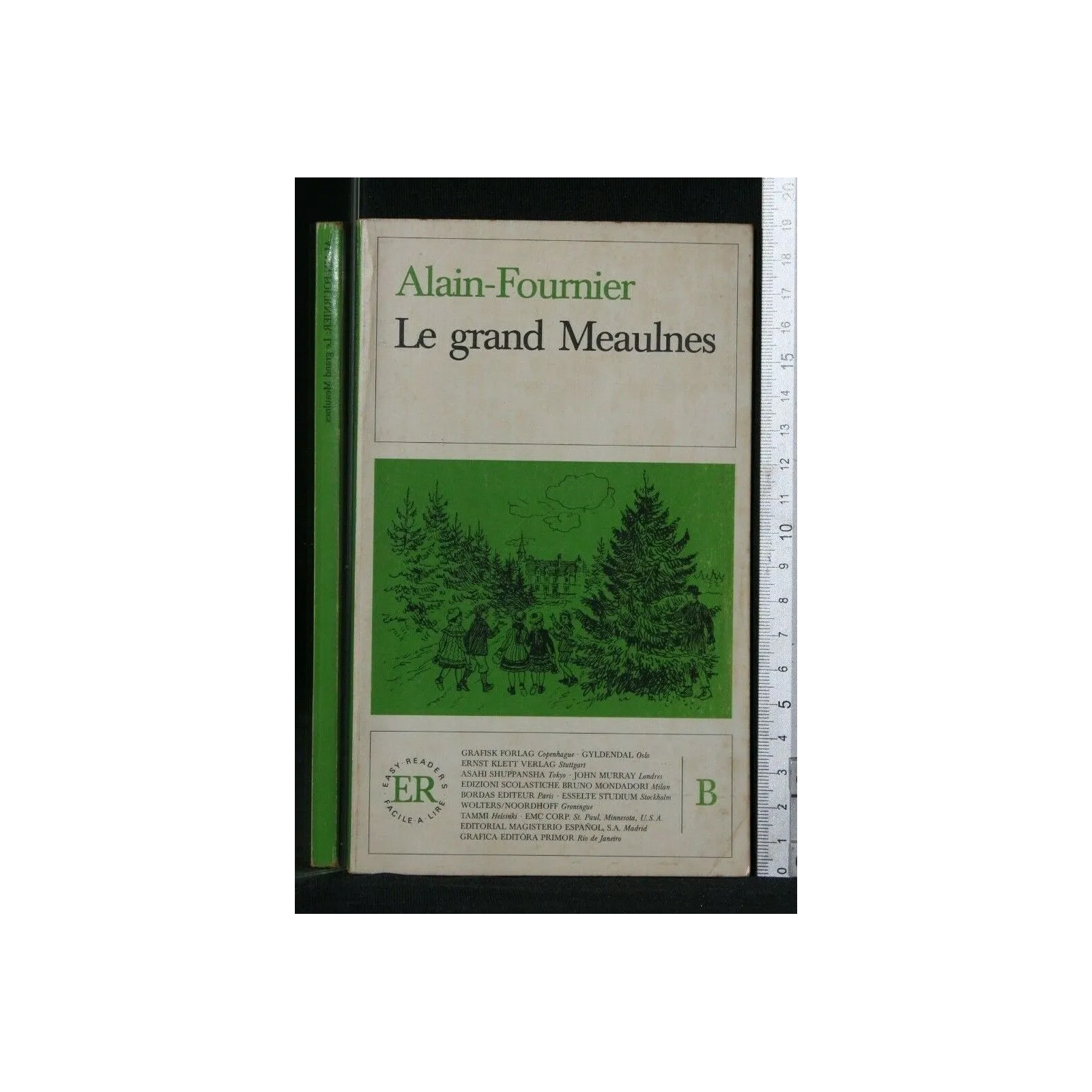 LE GRAND MEAULNES