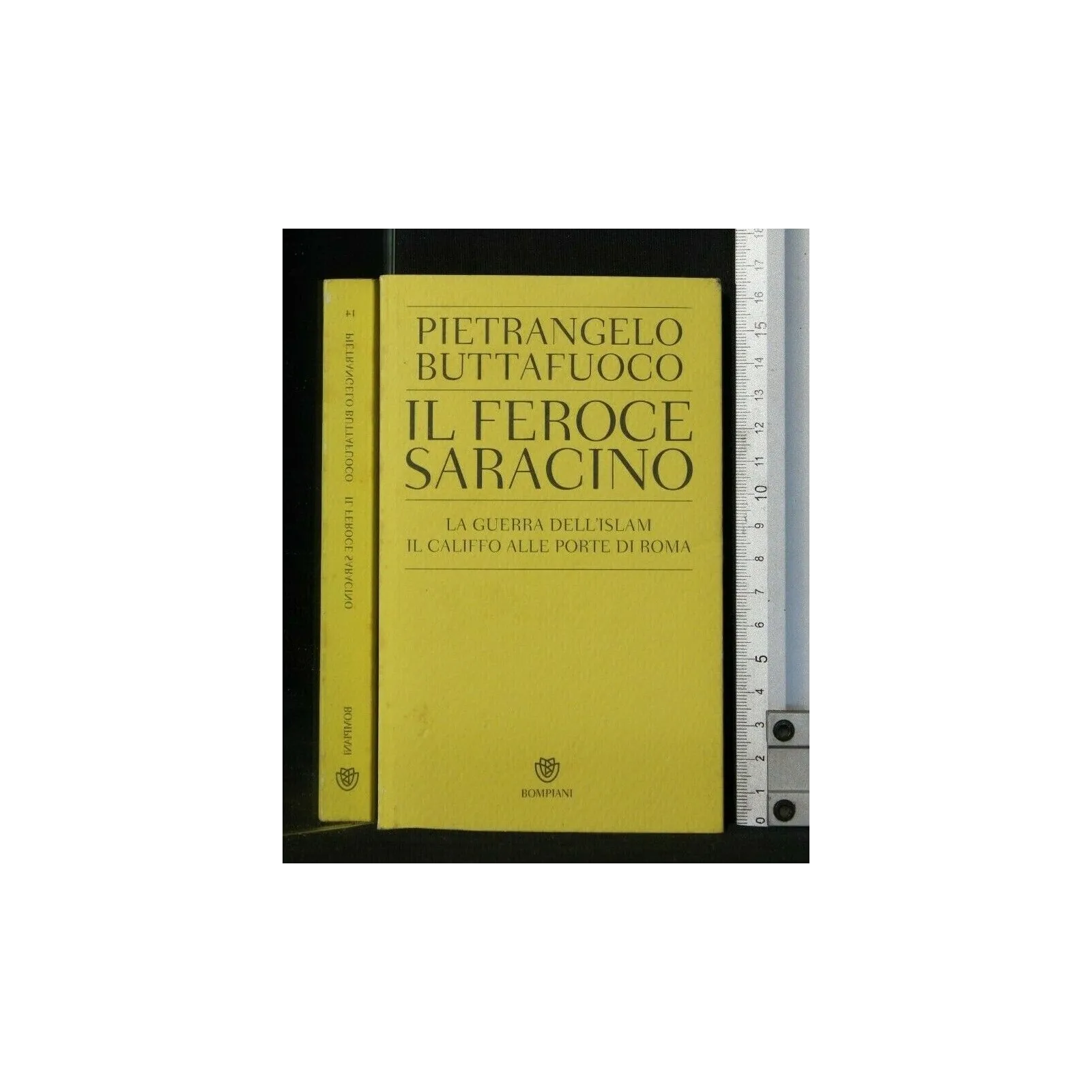 IL FEROCE SARACINO