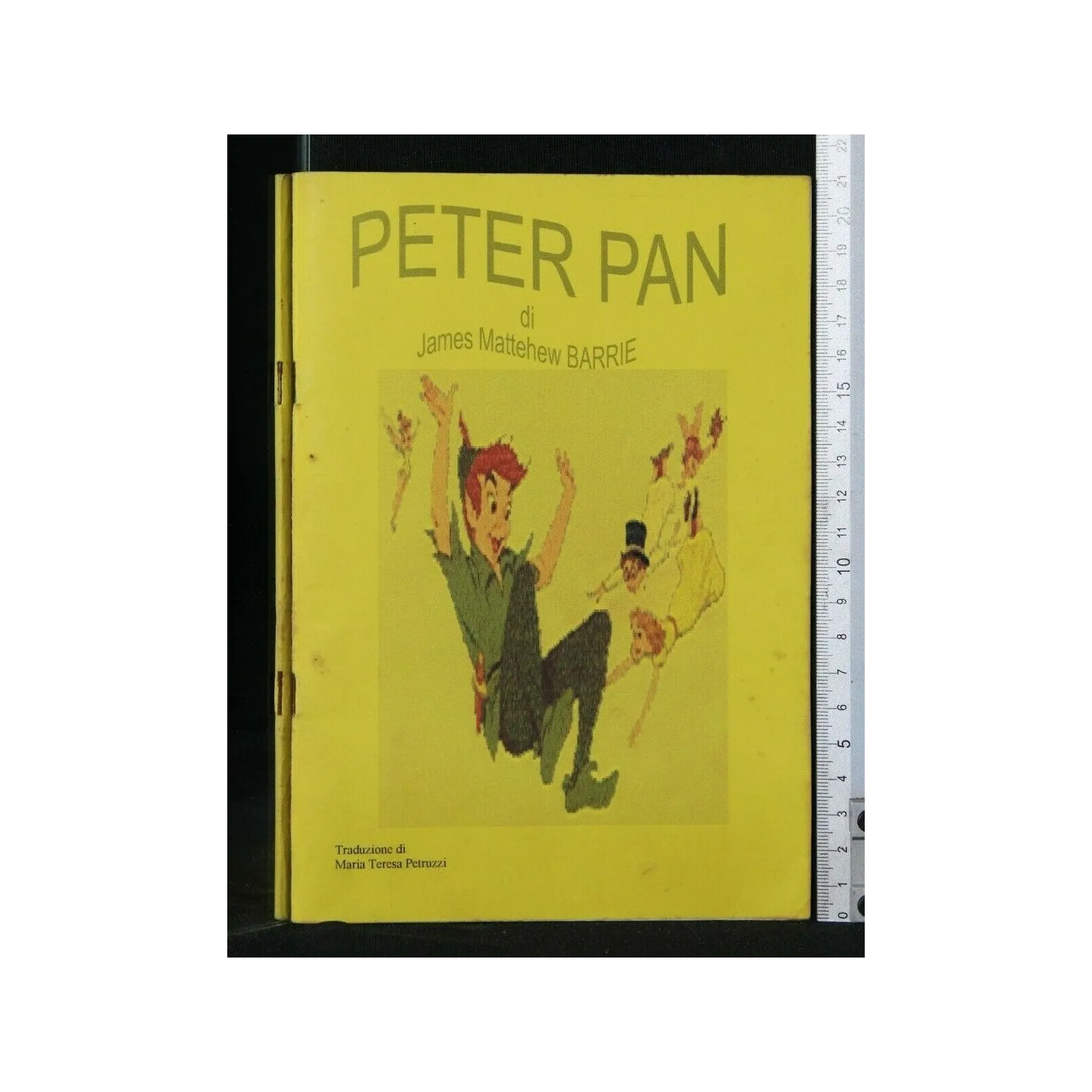 PETER PAN OVVERO IL BAMBINO CHE NON VOLEVA CRESCERE