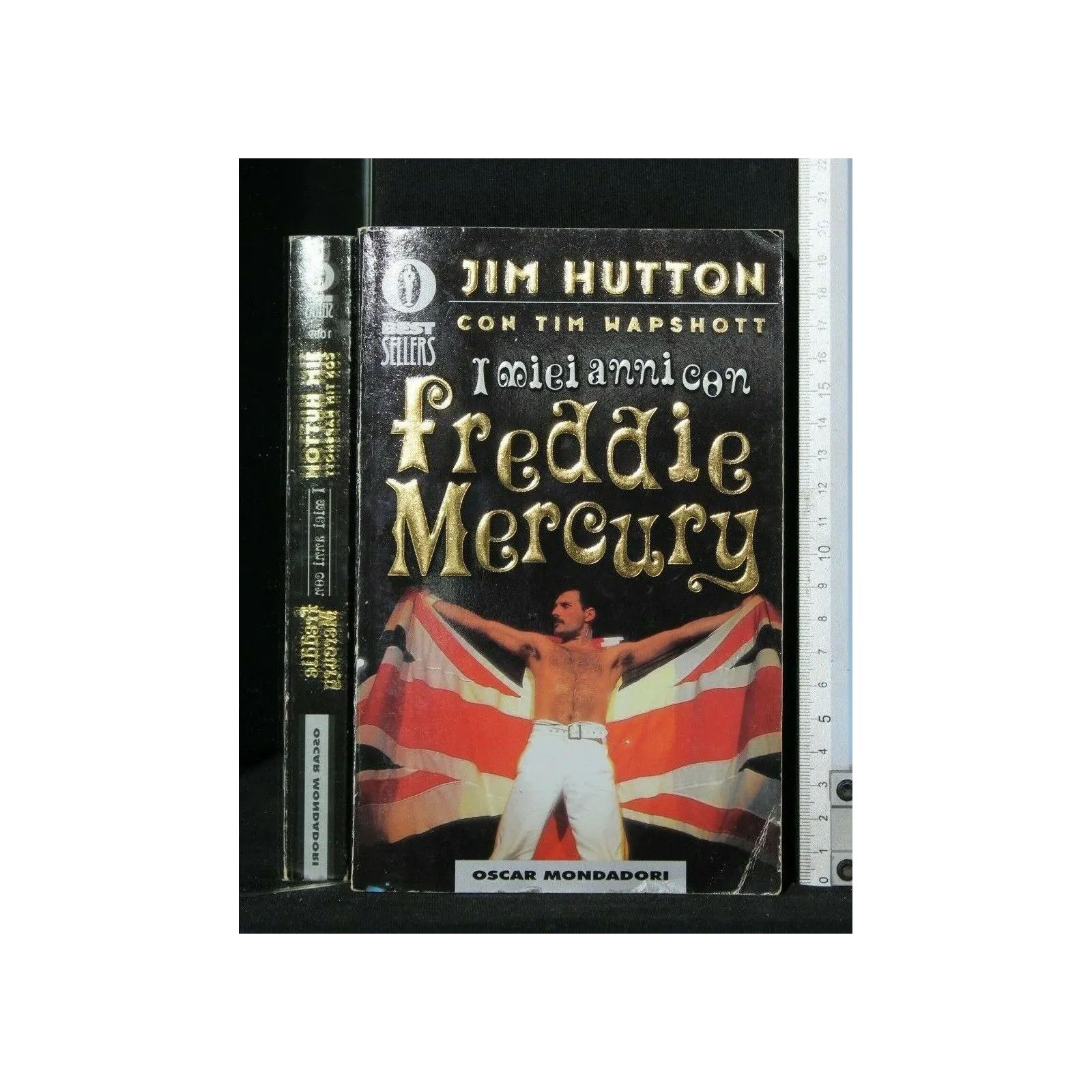 I MIEI ANNI CON FREDDIE MERCURY