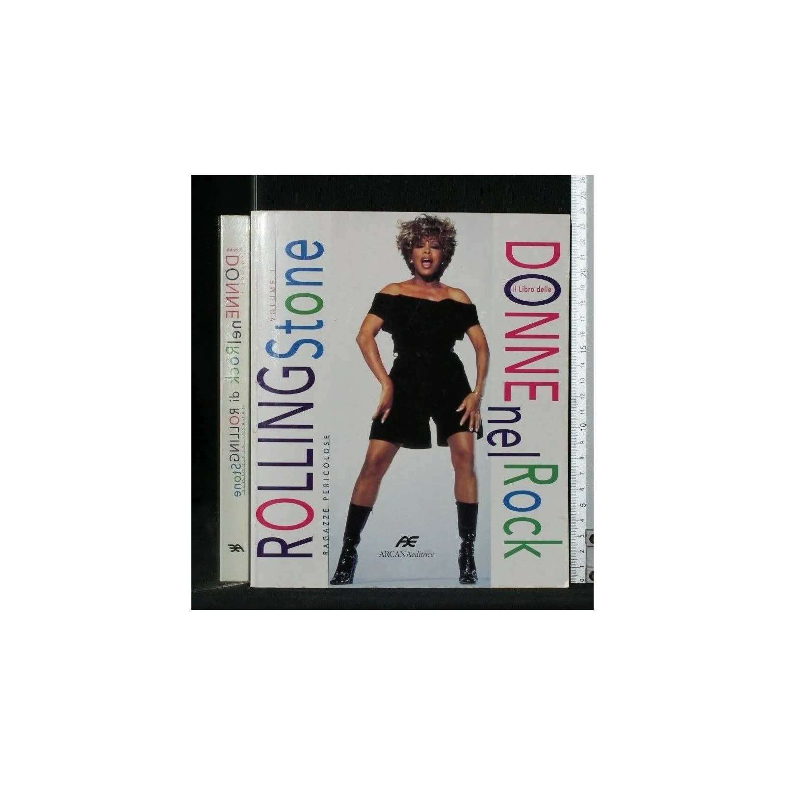 IL LIBRO DELLE DONNE NEL ROCK VOL. 1