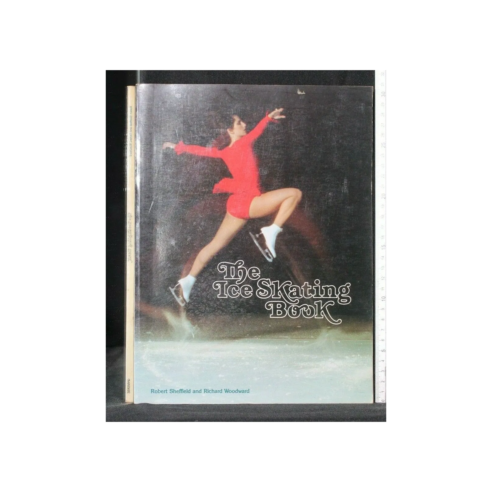 THE ICE SKATING BOOK