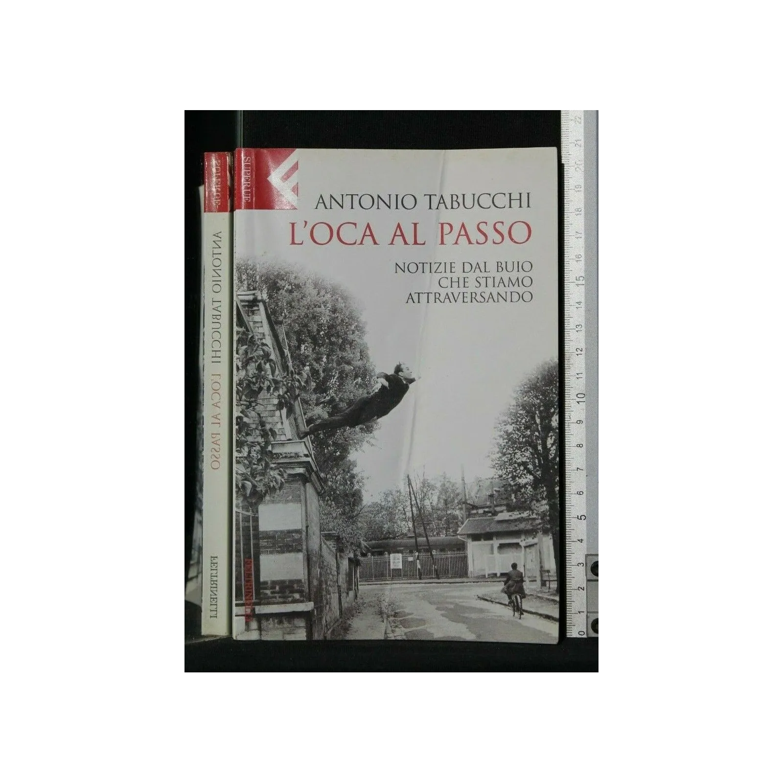 L'OCA AL PASSO NOTIZIE DAL BUIO CHE STIAMO ATTRAVERSANDO