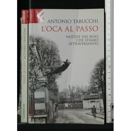 L'OCA AL PASSO NOTIZIE DAL BUIO CHE STIAMO ATTRAVERSANDO