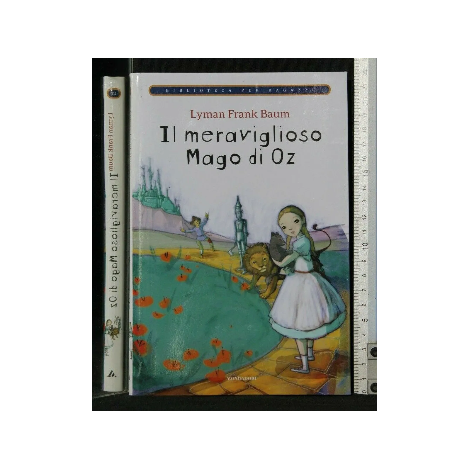 IL MERAVIGLIOSO MAGO DI OZ