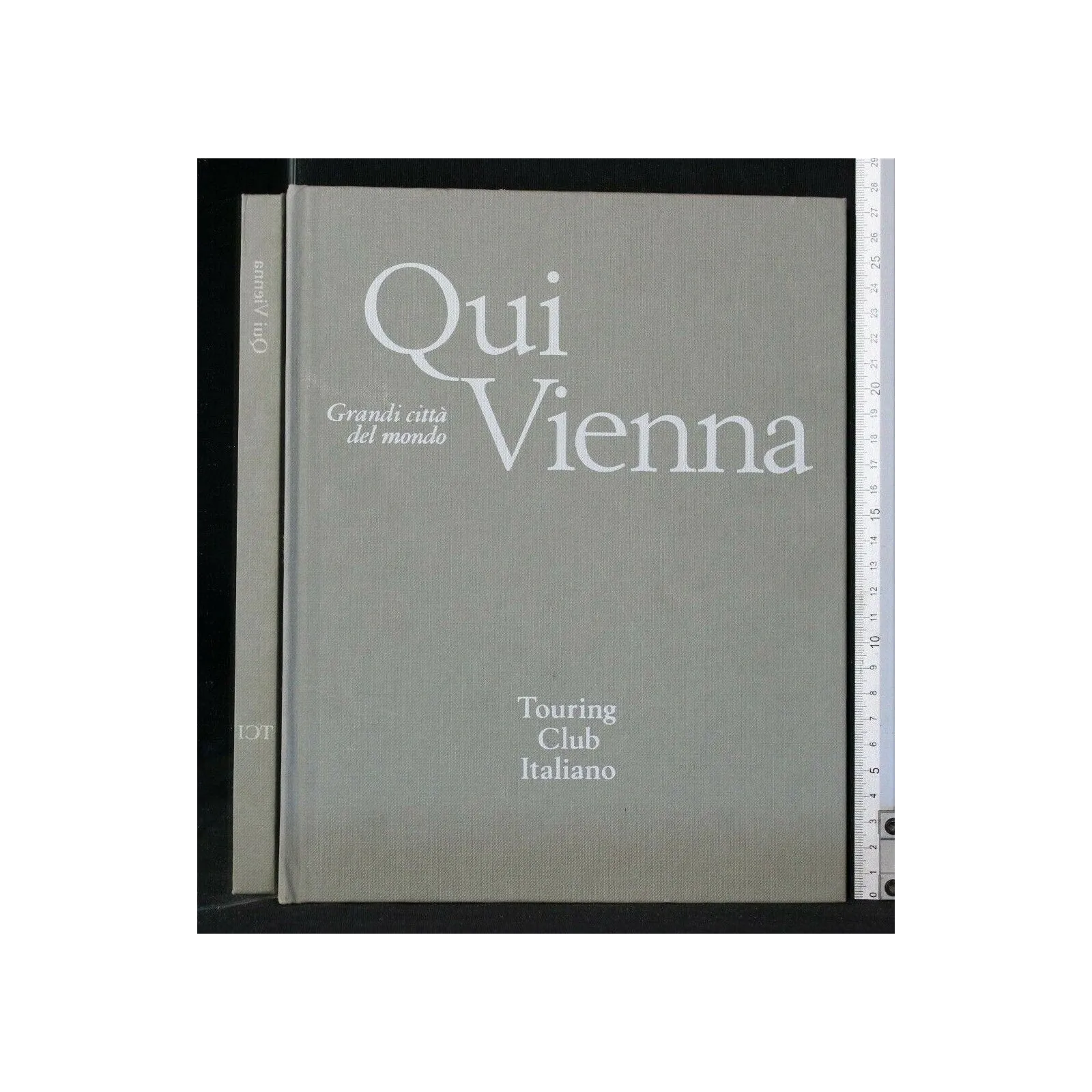 GRANDI CITTA' DEL MONDO QUI VIENNA