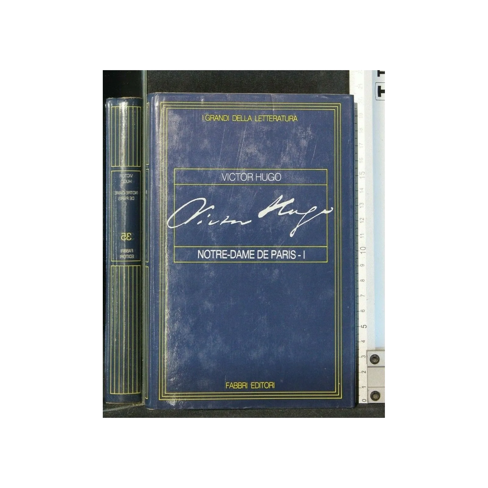 I GRANDI DELLA LETTERATURA NOTRE-DAME DE PARIS VOL. 1-2