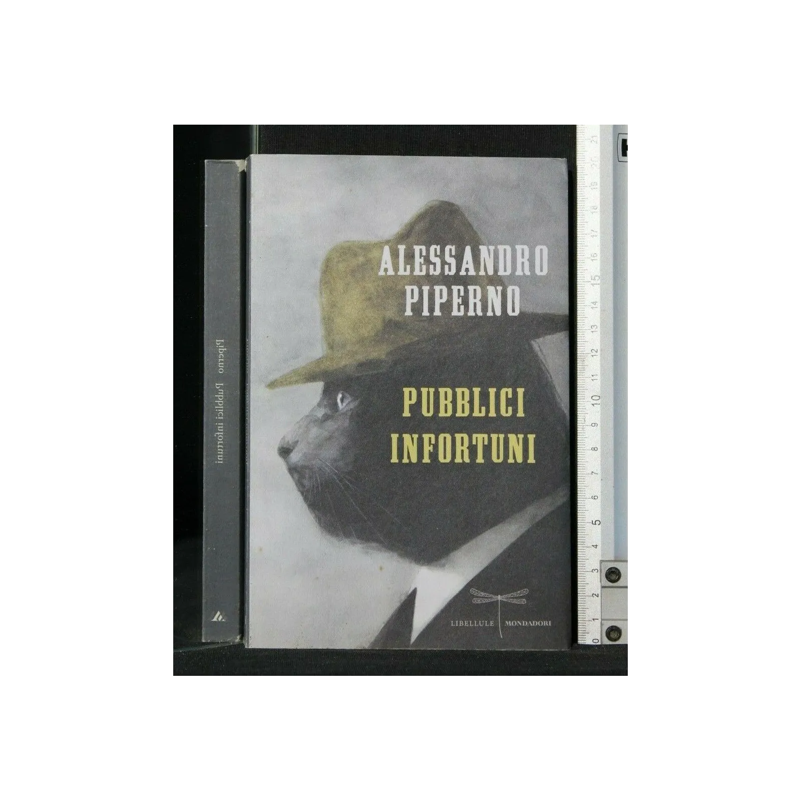 PUBBLICI INFORTUNI
