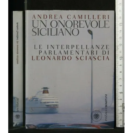 UN ONOREVOLE SICILIANO LE INTERPELLANZE PARLAMENTARI DI LEONARDO