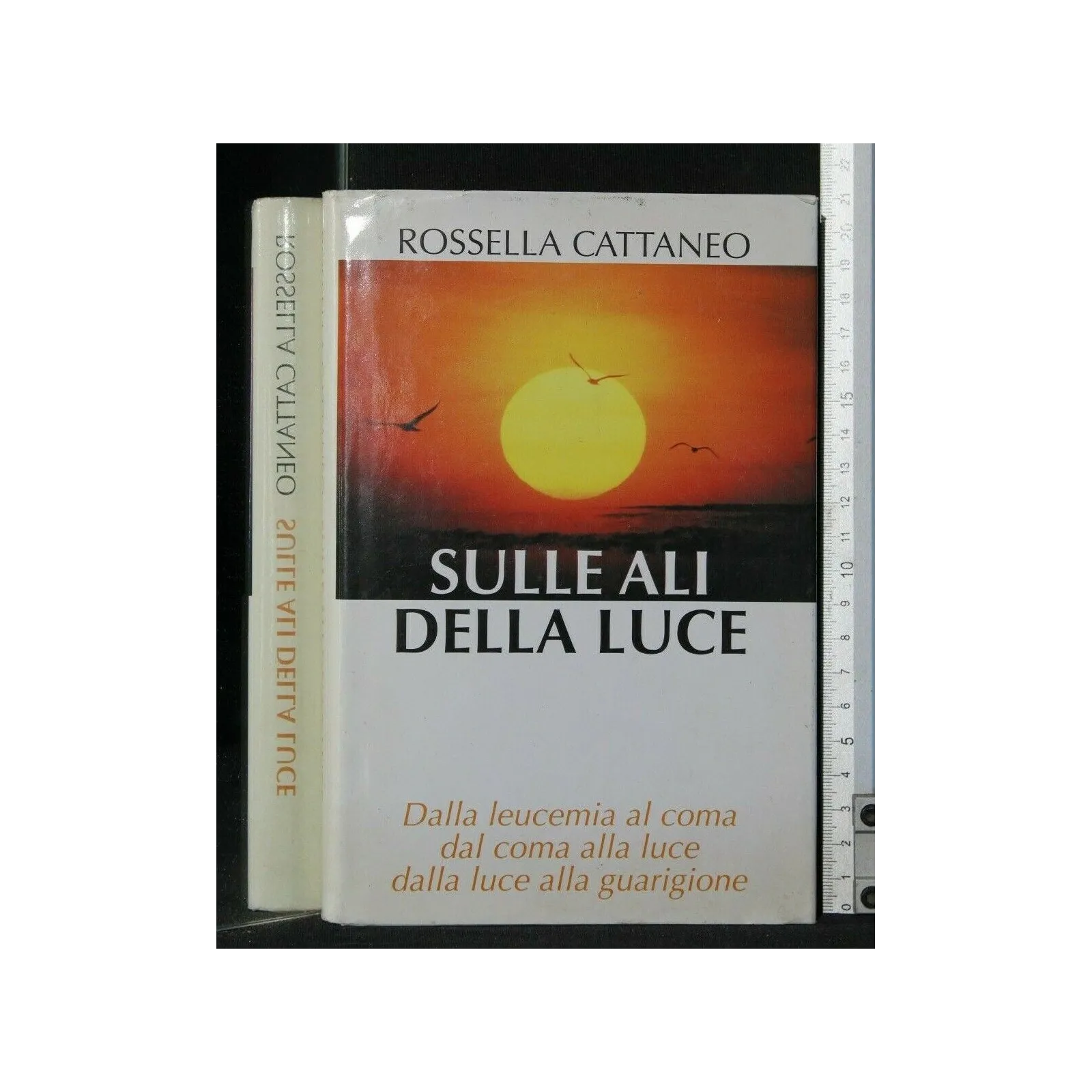 SULLE ALI DELLA LUCE