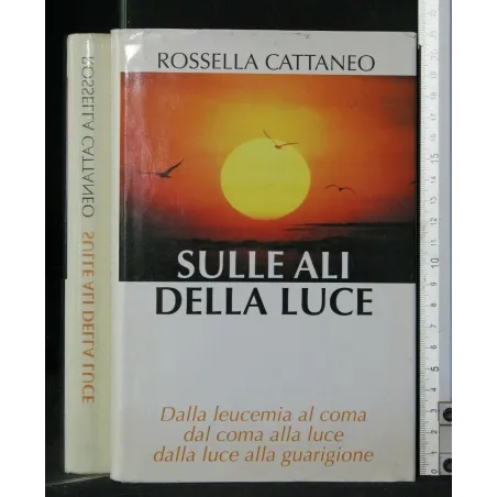 SULLE ALI DELLA LUCE