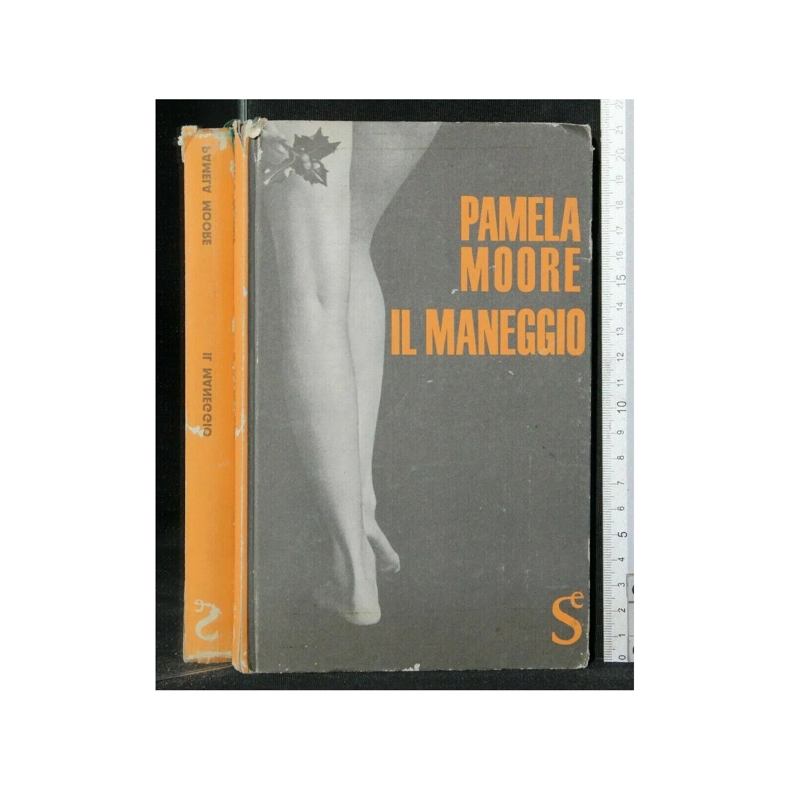 IL MANEGGIO