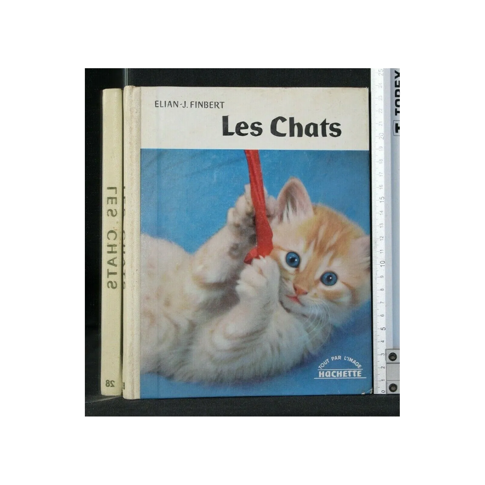 LES CHATS