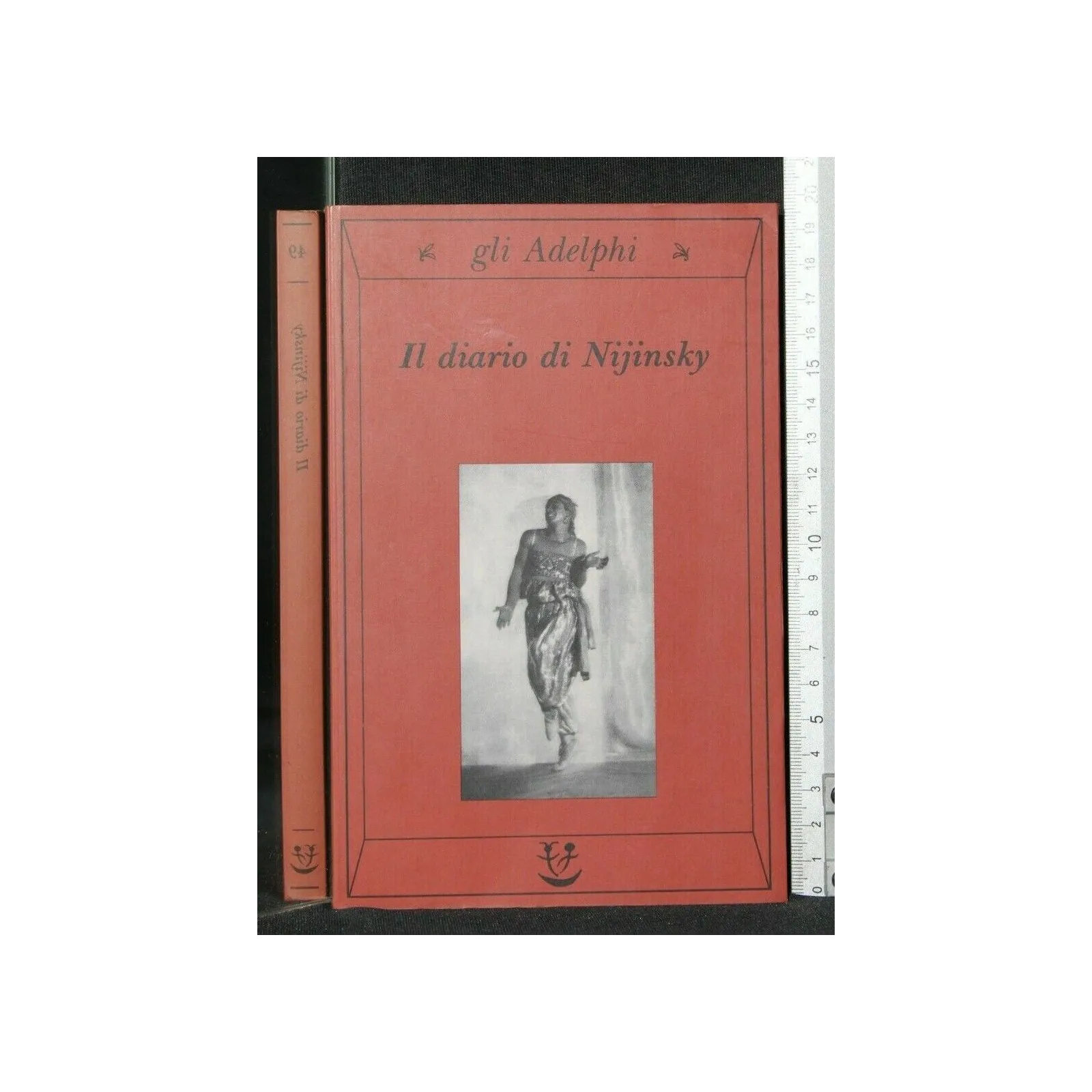 IL DIARIO DI NIJINSKY