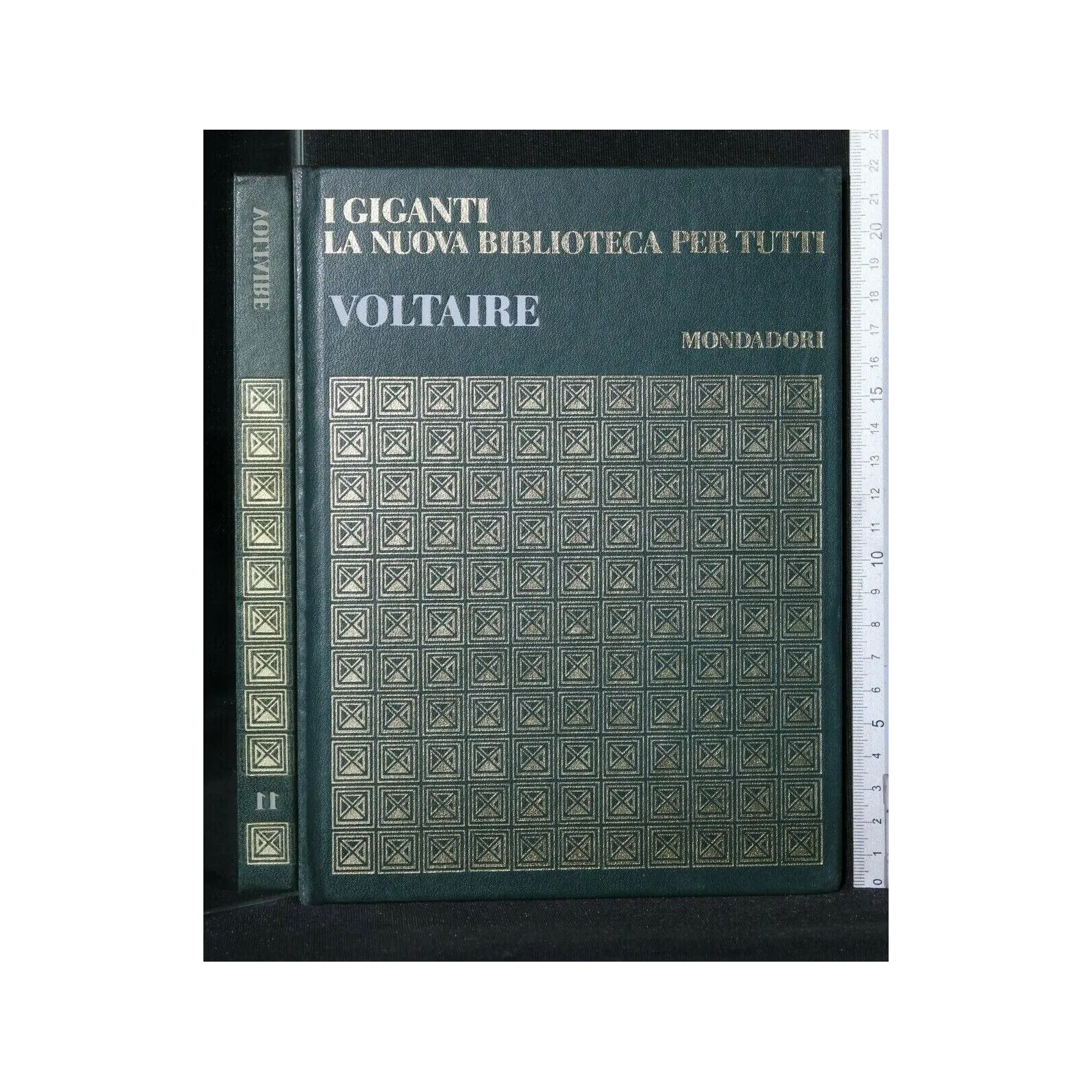 I GIGANTI LA NUOVA BIBLIOTECA PER TUTTI VOLTAIRE