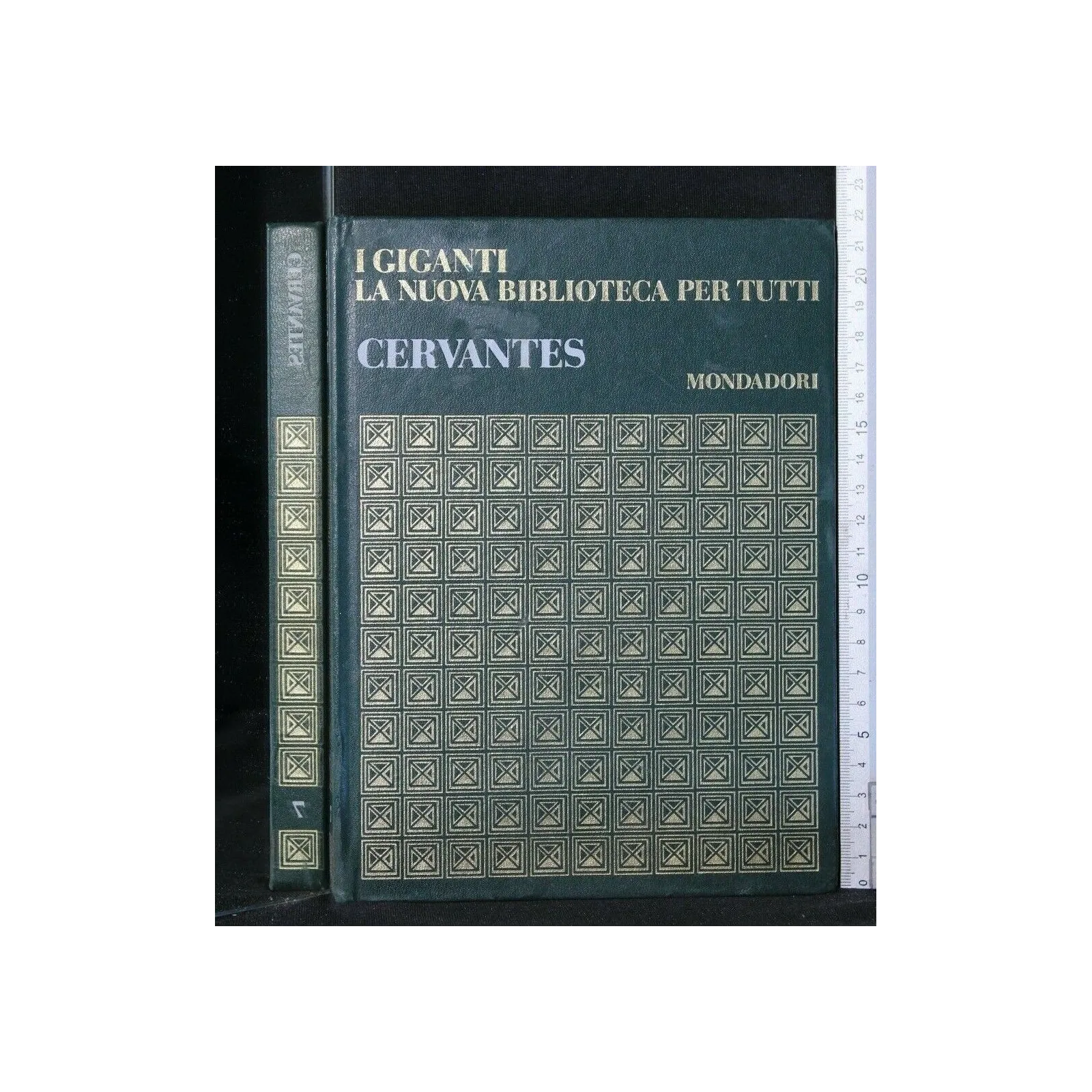 I GIGANTI CERVANTES