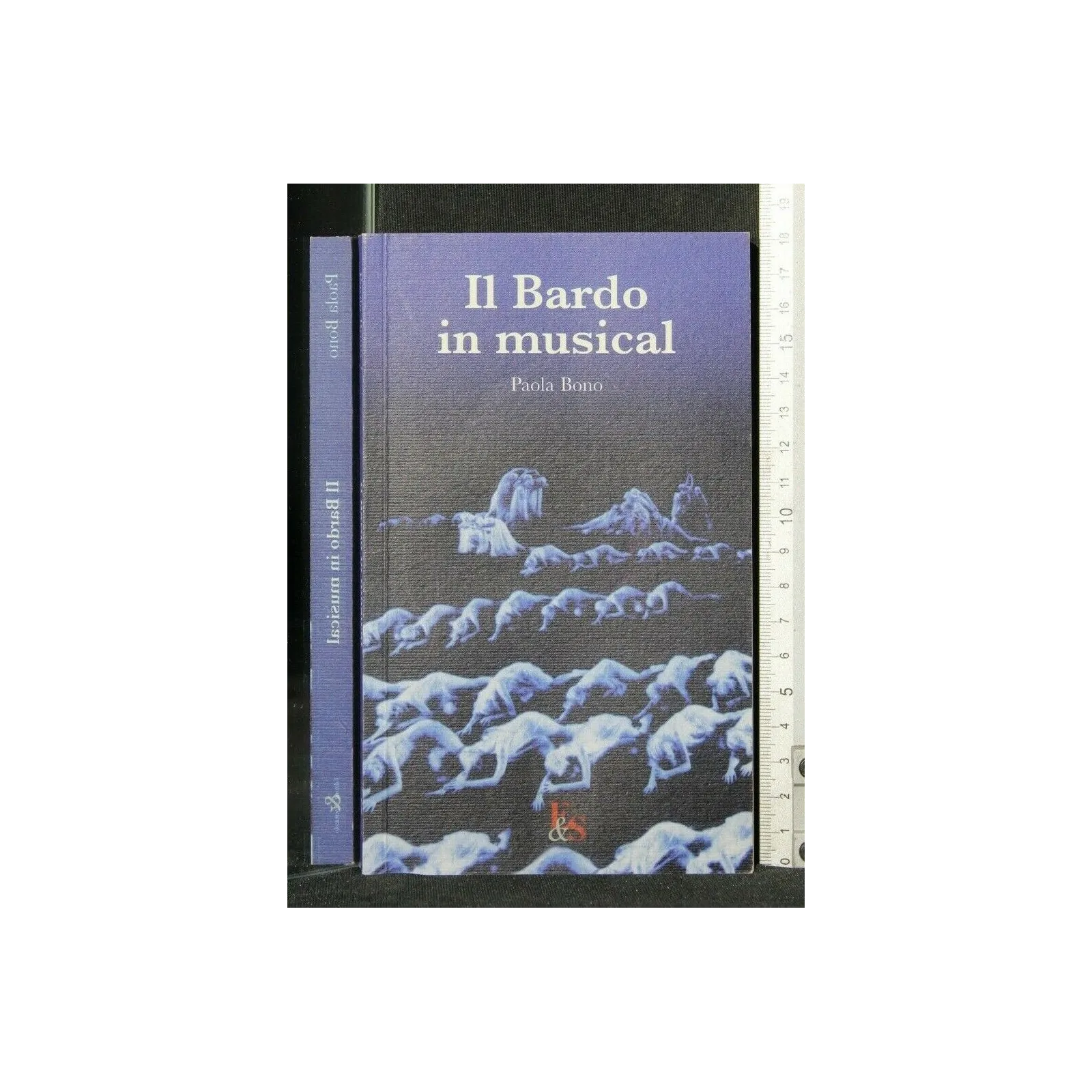 IL BARDO IN MUSICAL