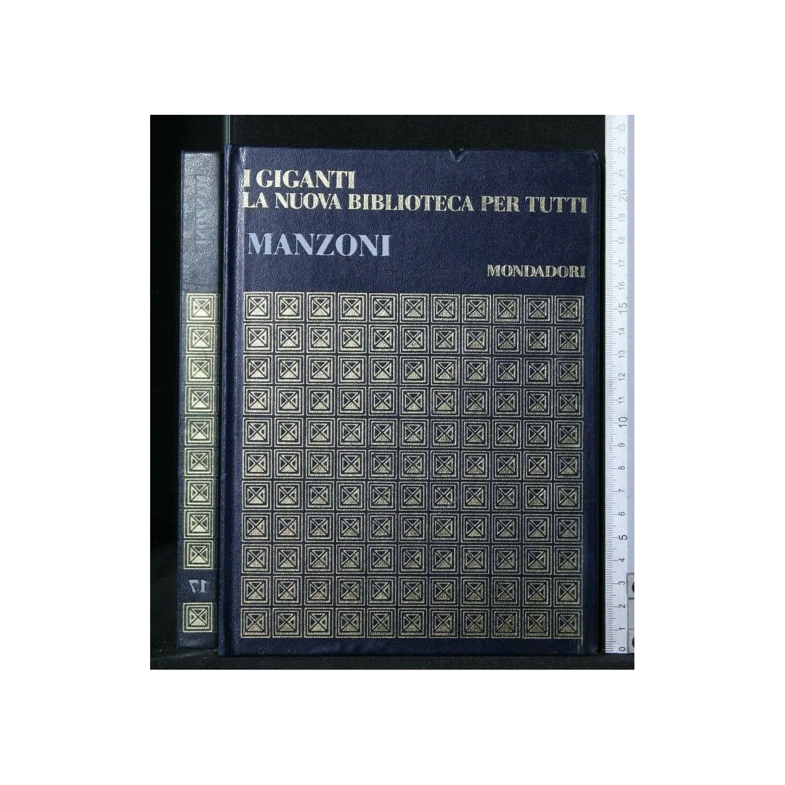 I GIGANTI LA NUOVA BIBLIOTECA PER TUTTI MANZONI