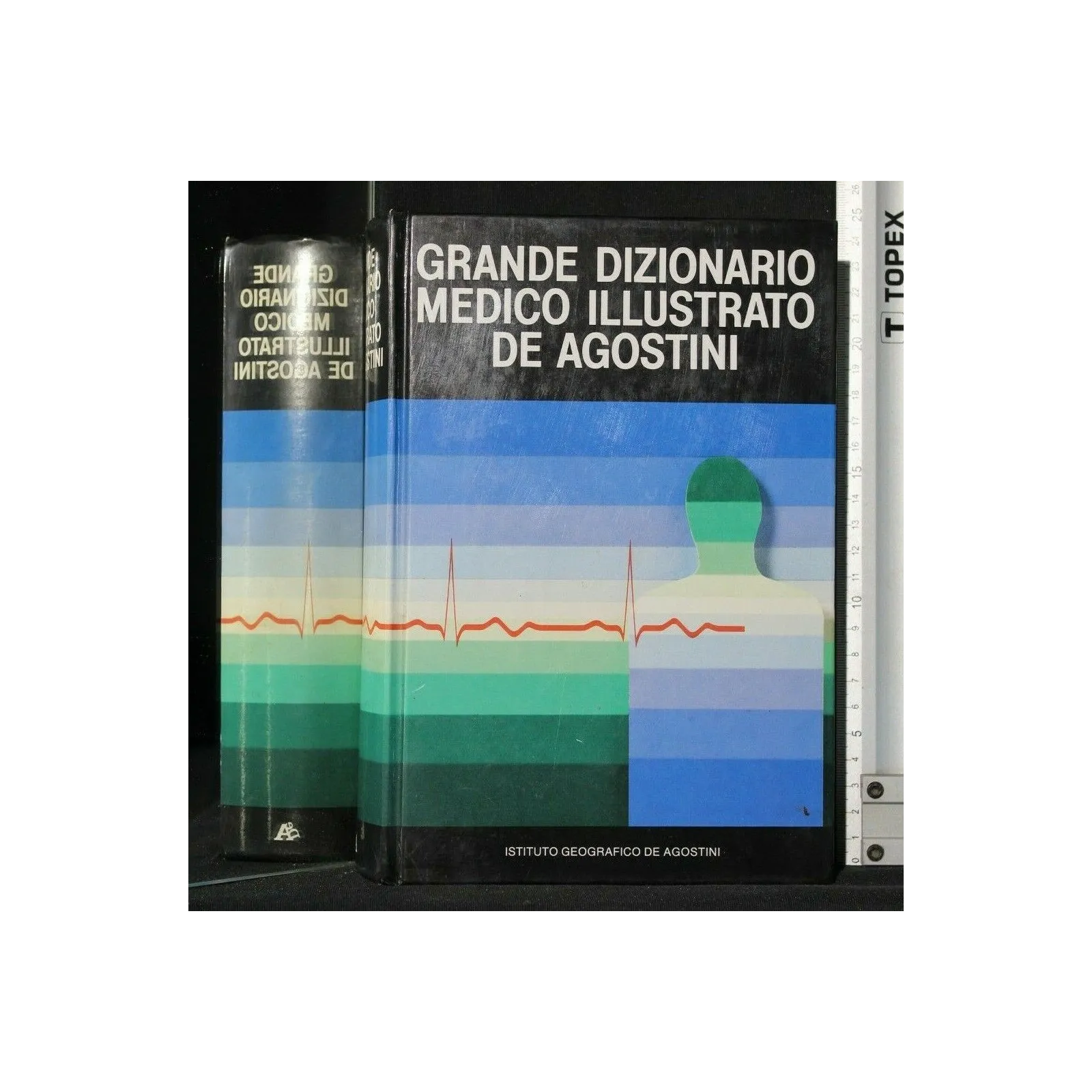 GRANDE DIZIONARIO MEDICO ILLUSTRATO