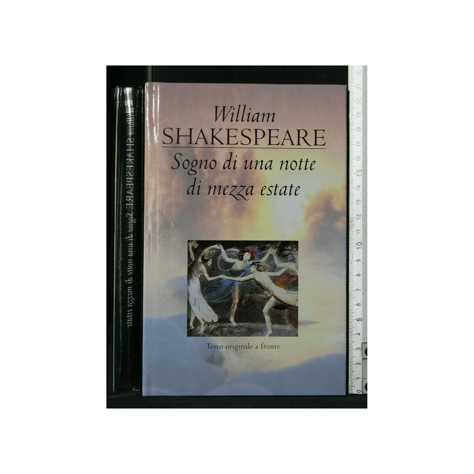 SOGNO DI UNA NOTTE DI MEZZA ESTATE