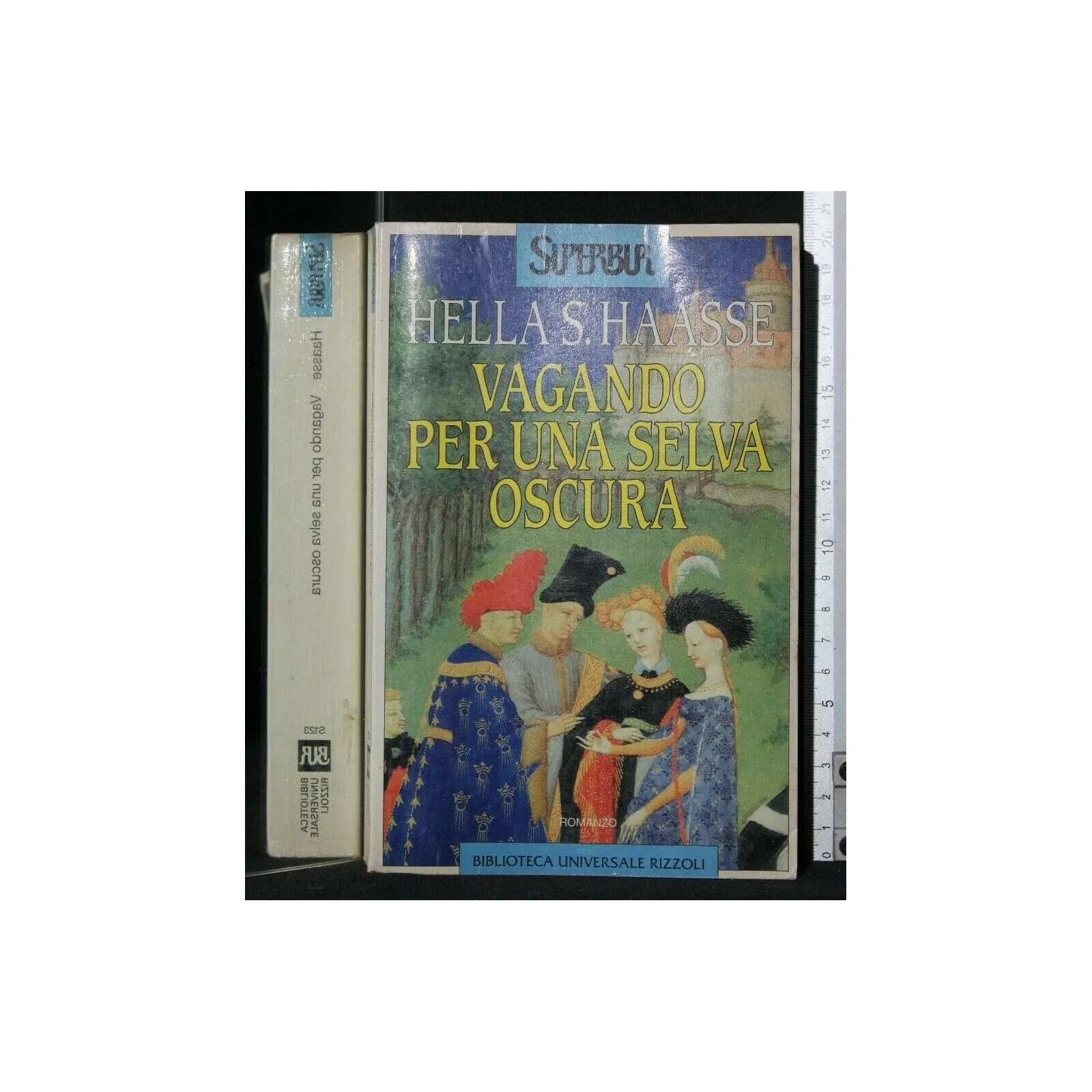 VAGANDO PER UNA SELVA OSCURA