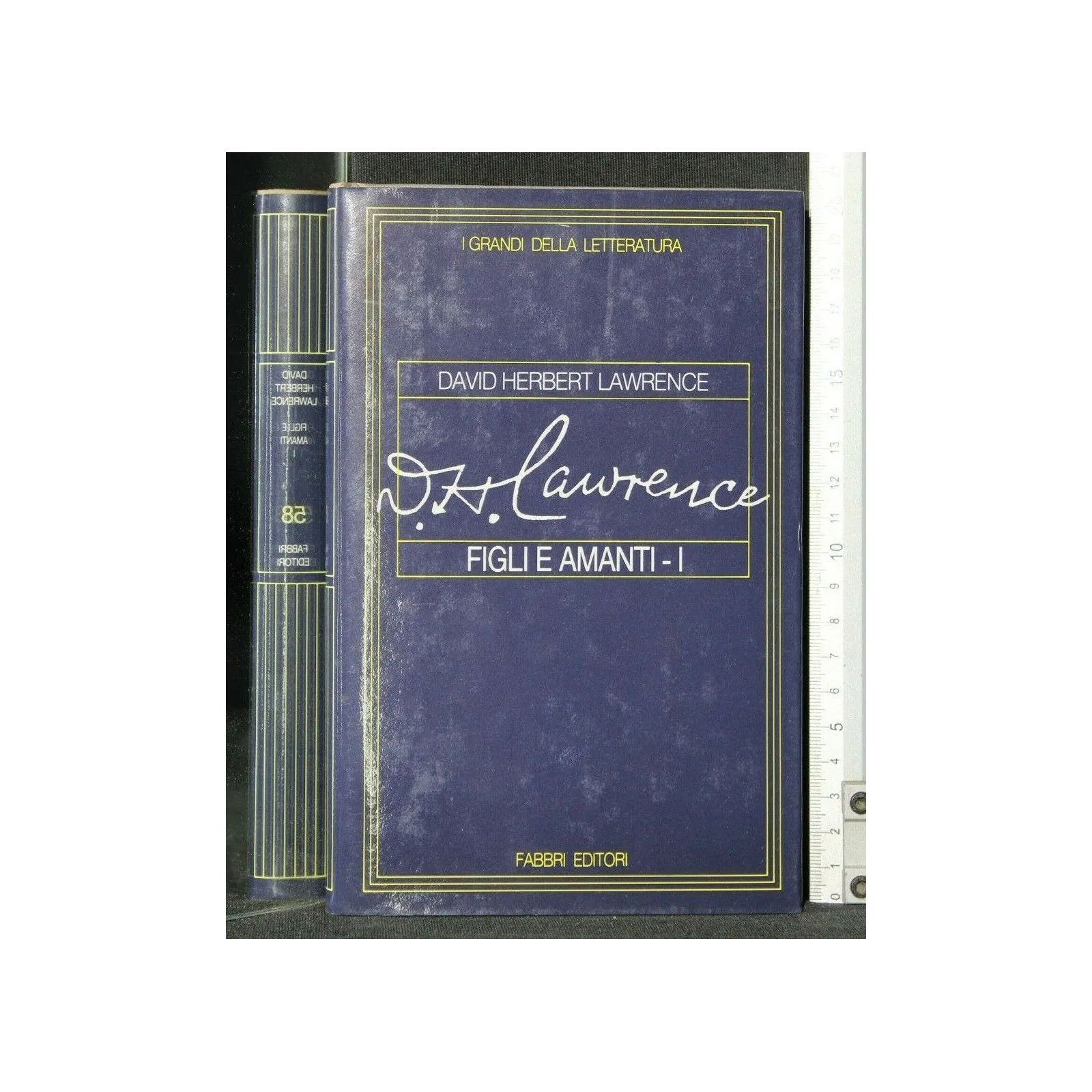 I GRANDI DELLA LETTERATURA FIGLI E AMANTI VOLUME I