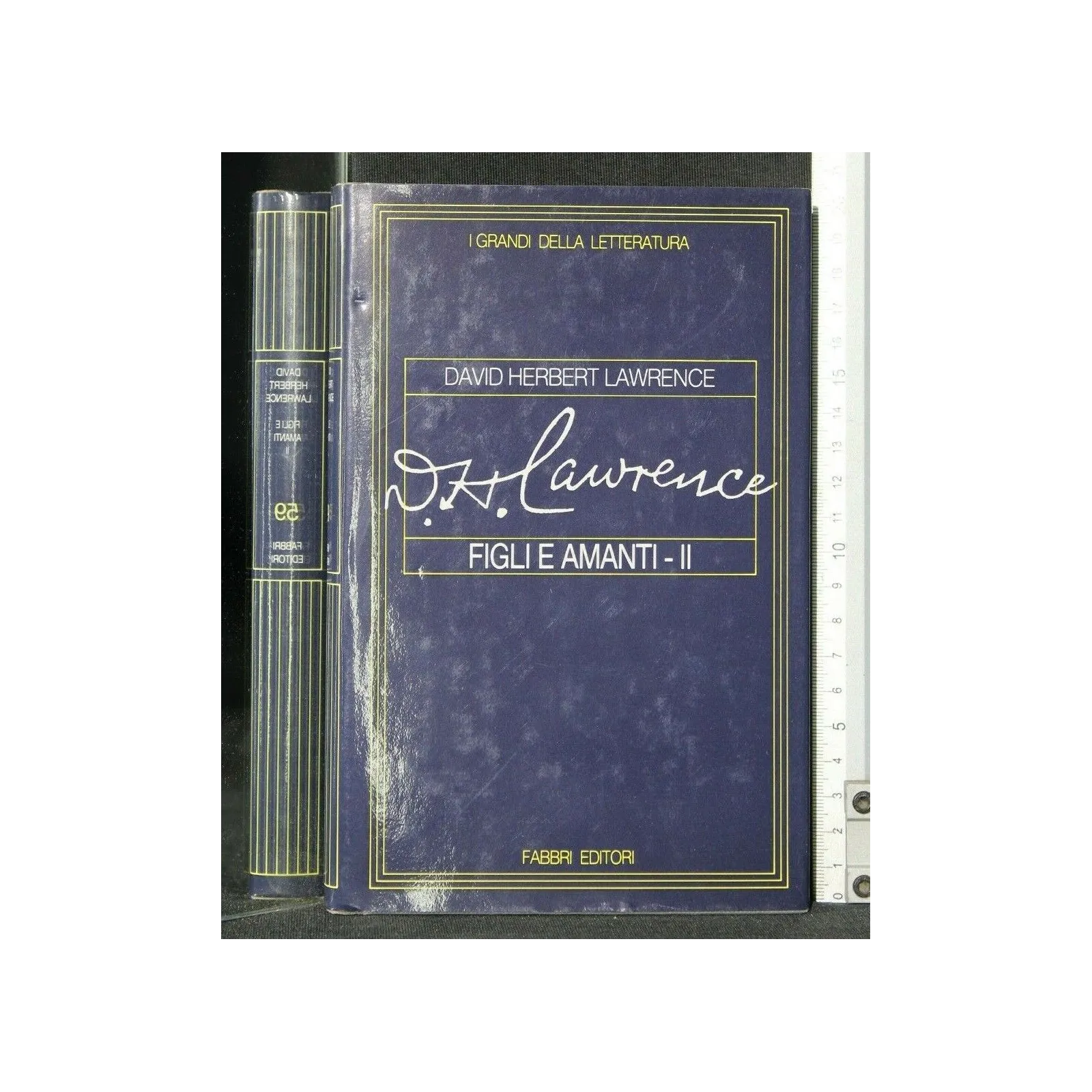 I GRANDI DELLA LETTERATURA FIGLI E AMANTI VOLUME II