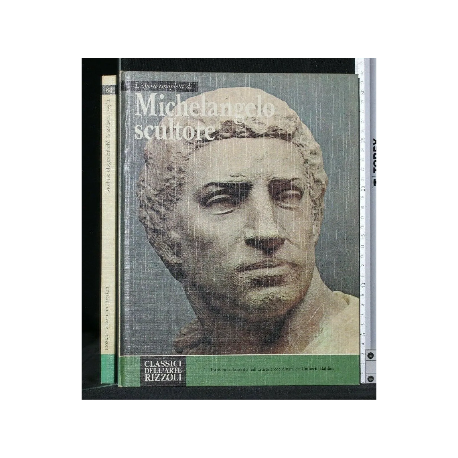 L'OPERA COMPLETA DI MICHELANGELO SCULTORE