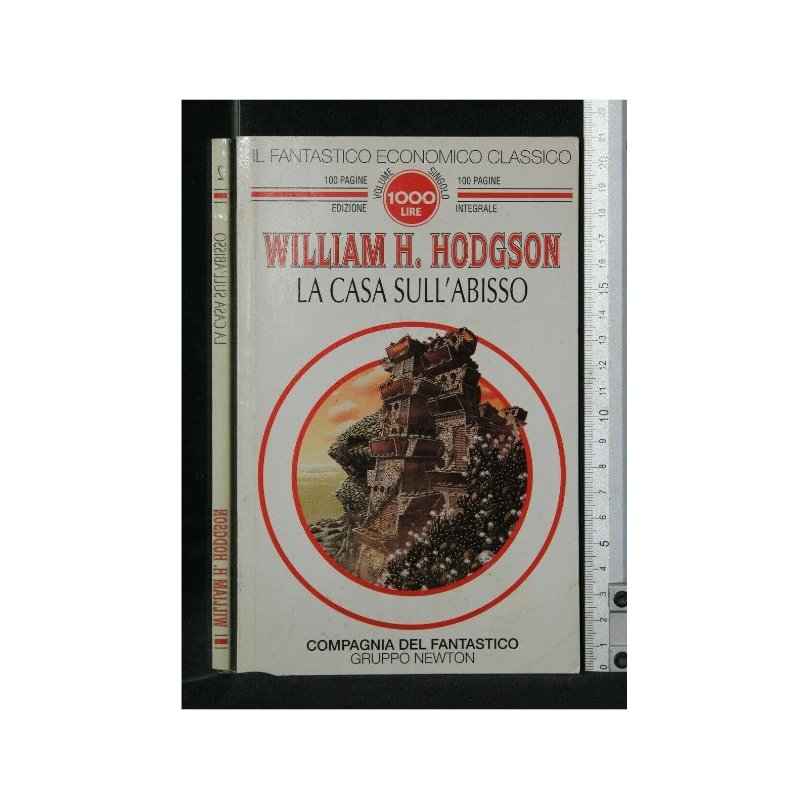 IL FANTASTICO ECONOMICO NEWTON LA CASA SULL'ABISSO