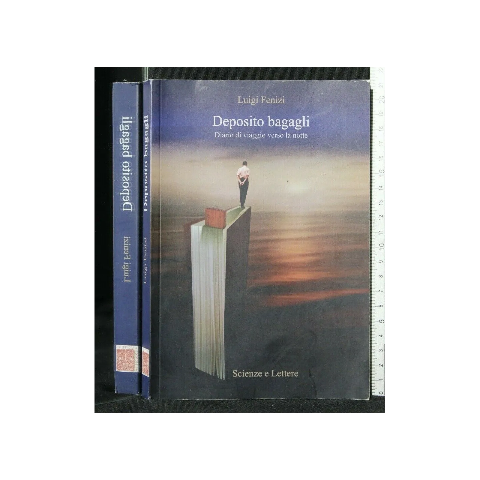 DEPOSITO BAGAGLI DIARIO DI VIAGGIO VERSO LA NOTTE