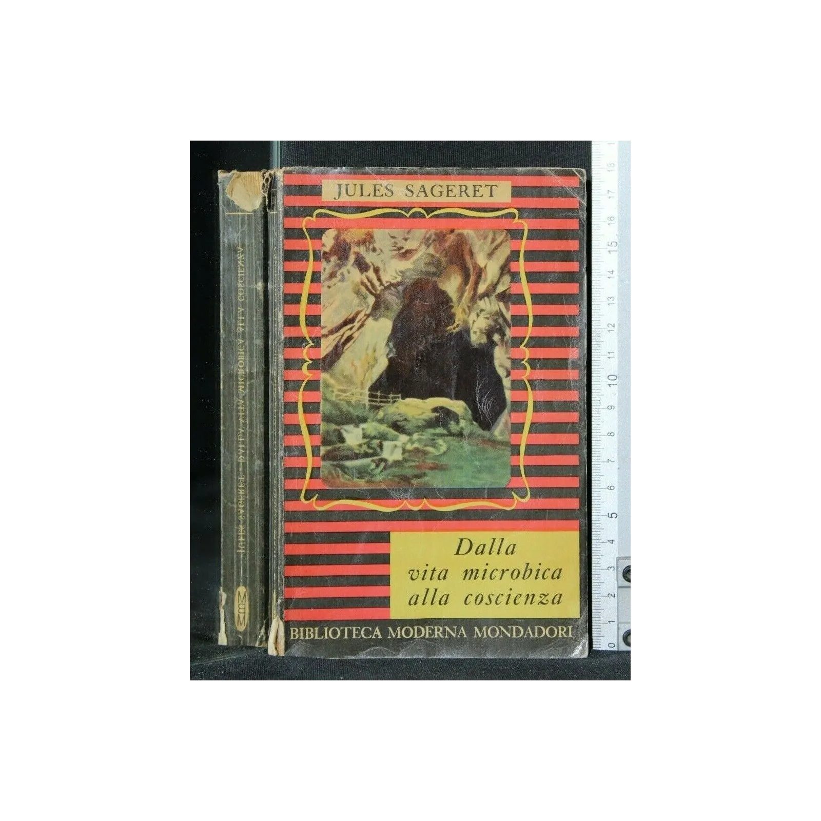 DALLA VITA MICROBICA ALLA COSCIENZA