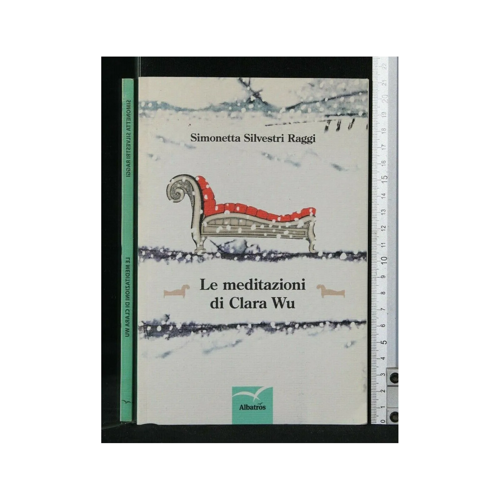 LE MEDITAZIONI DI CLARA WU