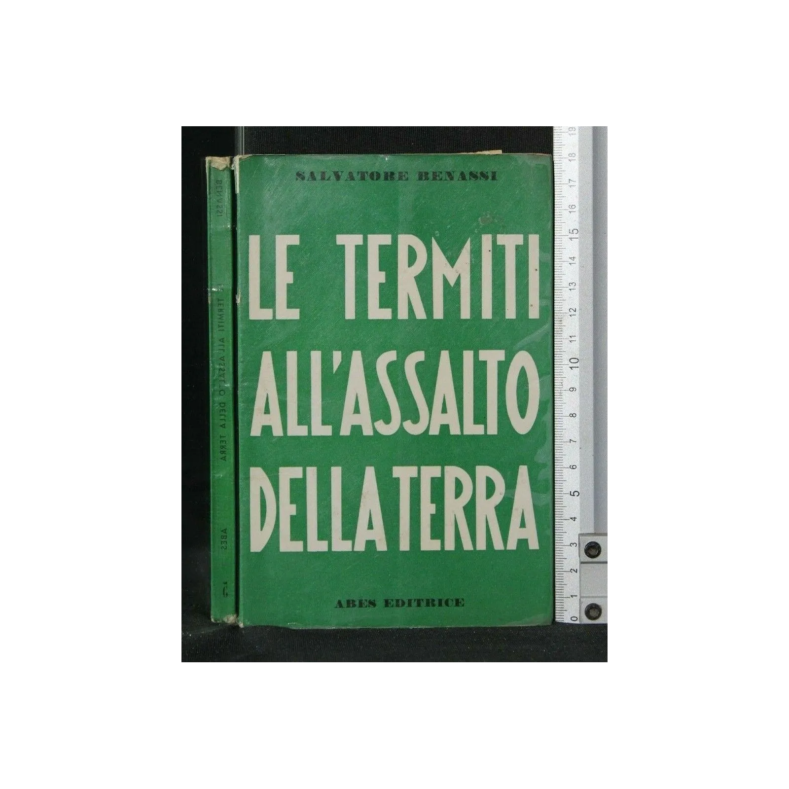 LE TERMITI ALL'ASSALTO DELLA TERRA