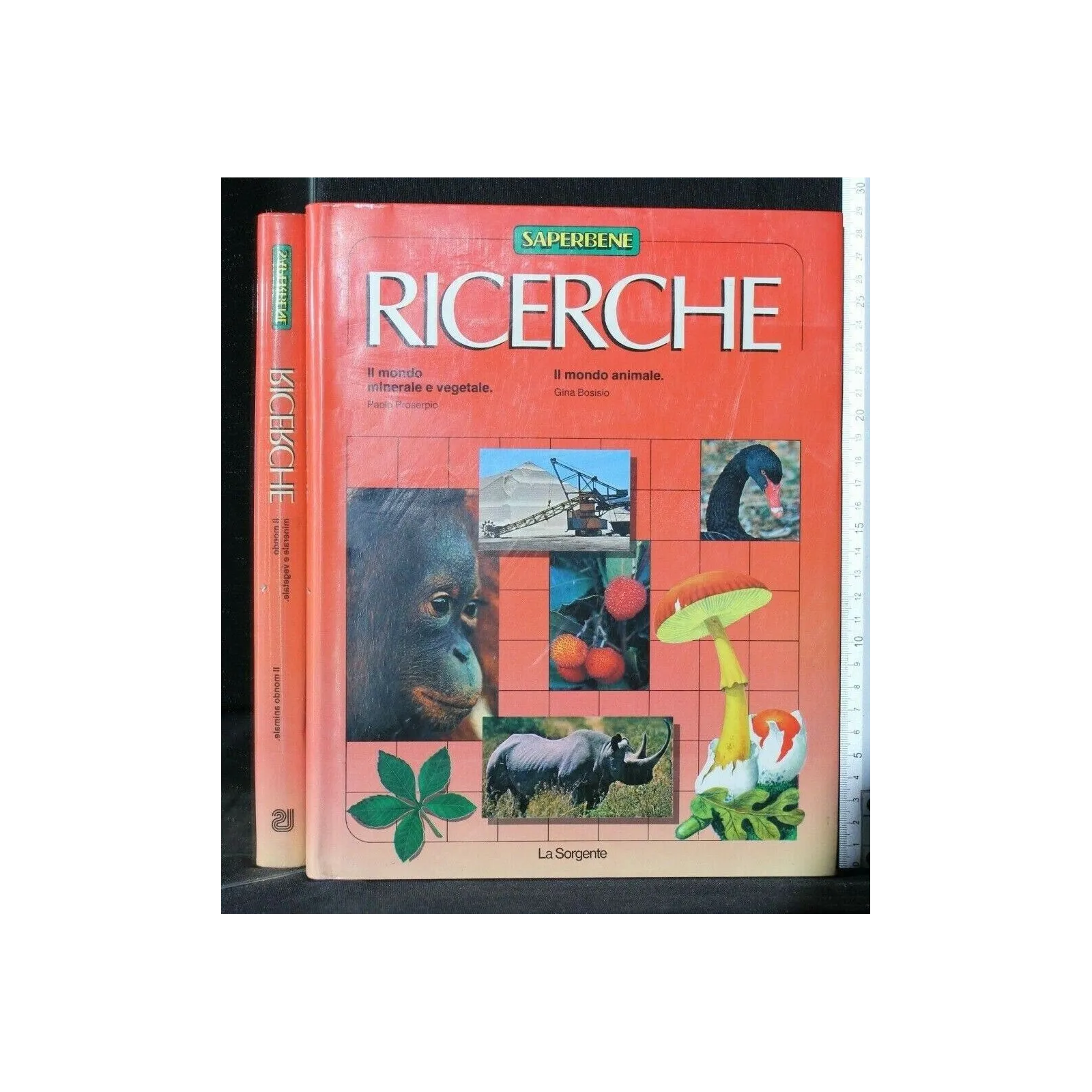RICERCHE IL MONDO MINERALE E VEGETALE IL MONDO ANIMALE
