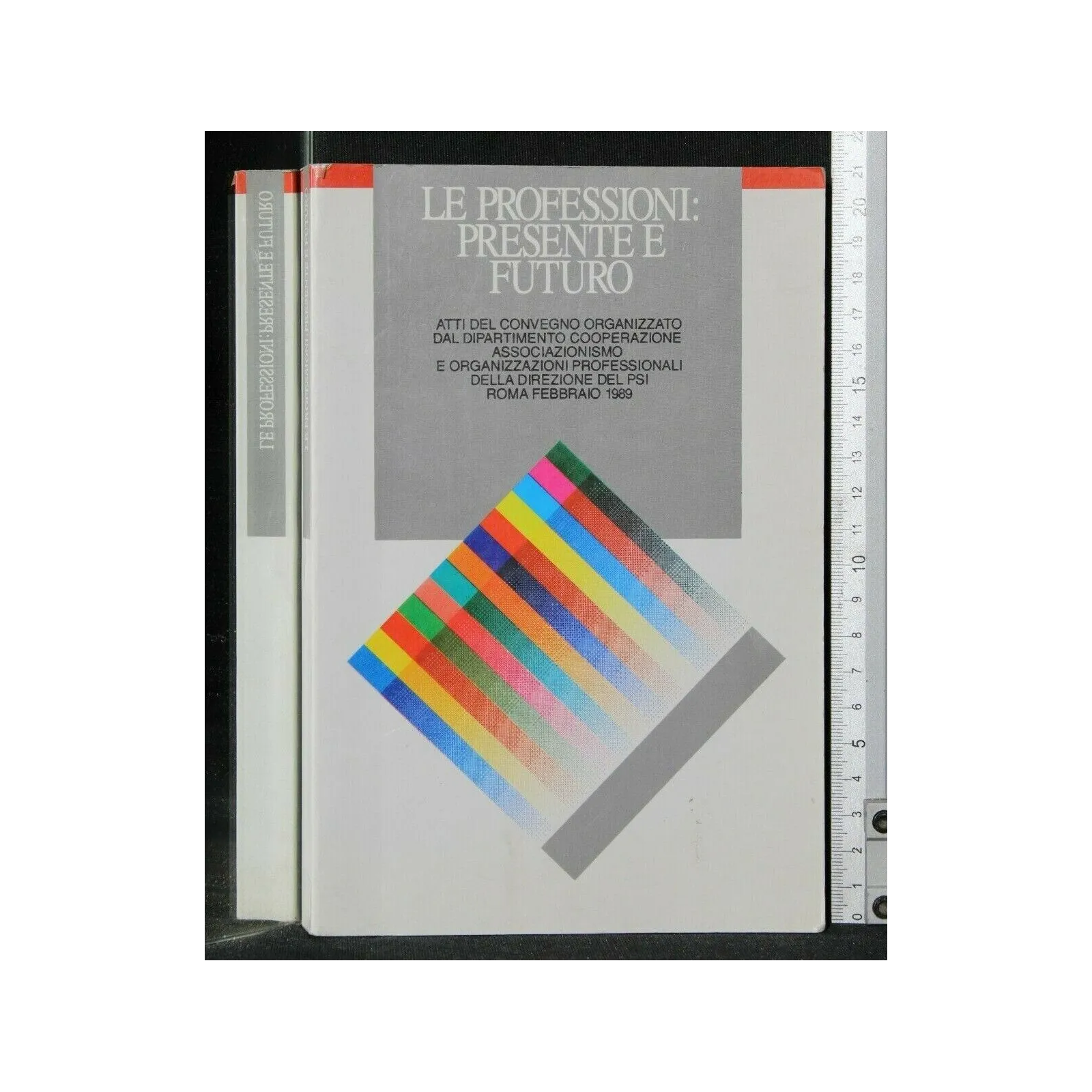 LE PROFESSIONI: PRESENTE E FUTURO