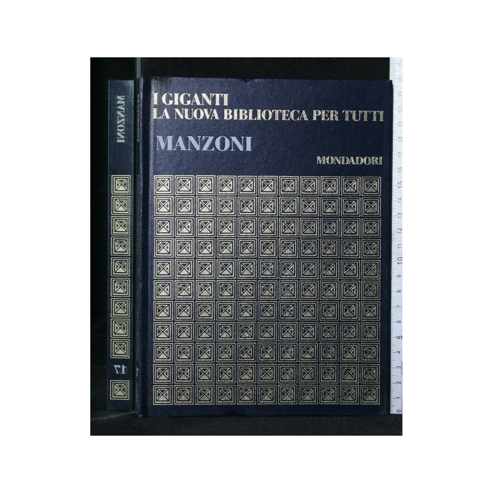 I GIGANTI LA NUOVA BIBLIOTECA PER TUTTI MANZONI